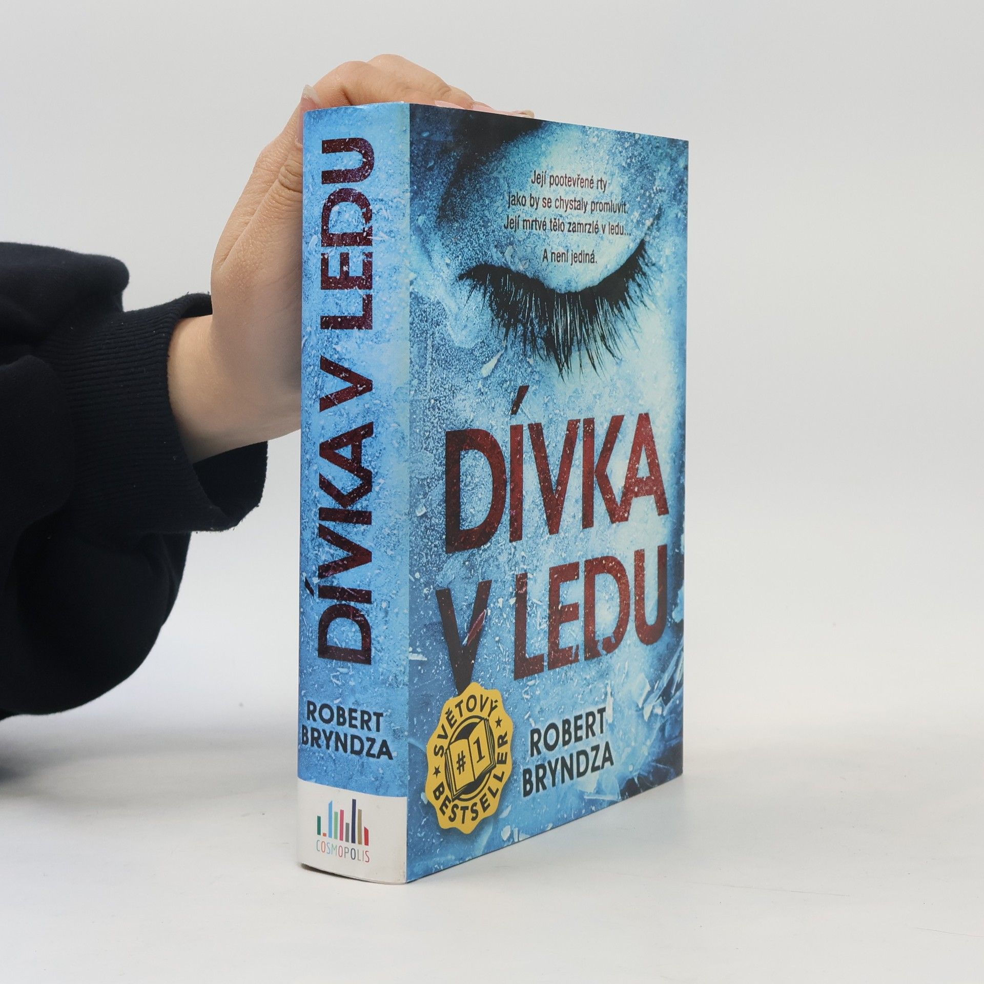 Robert Bryndza Dívka v ledu