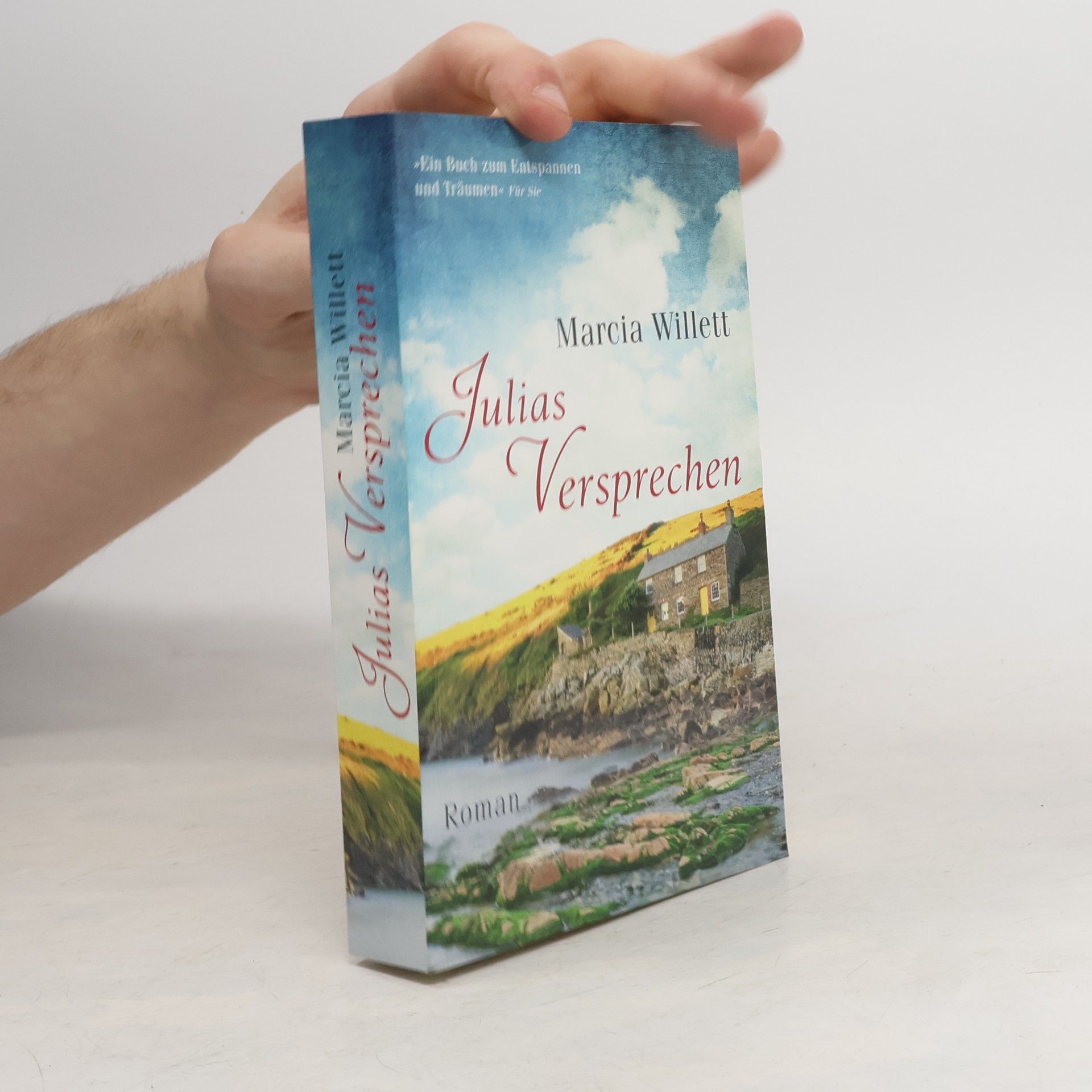 Marcia Willett Julias Versprechen