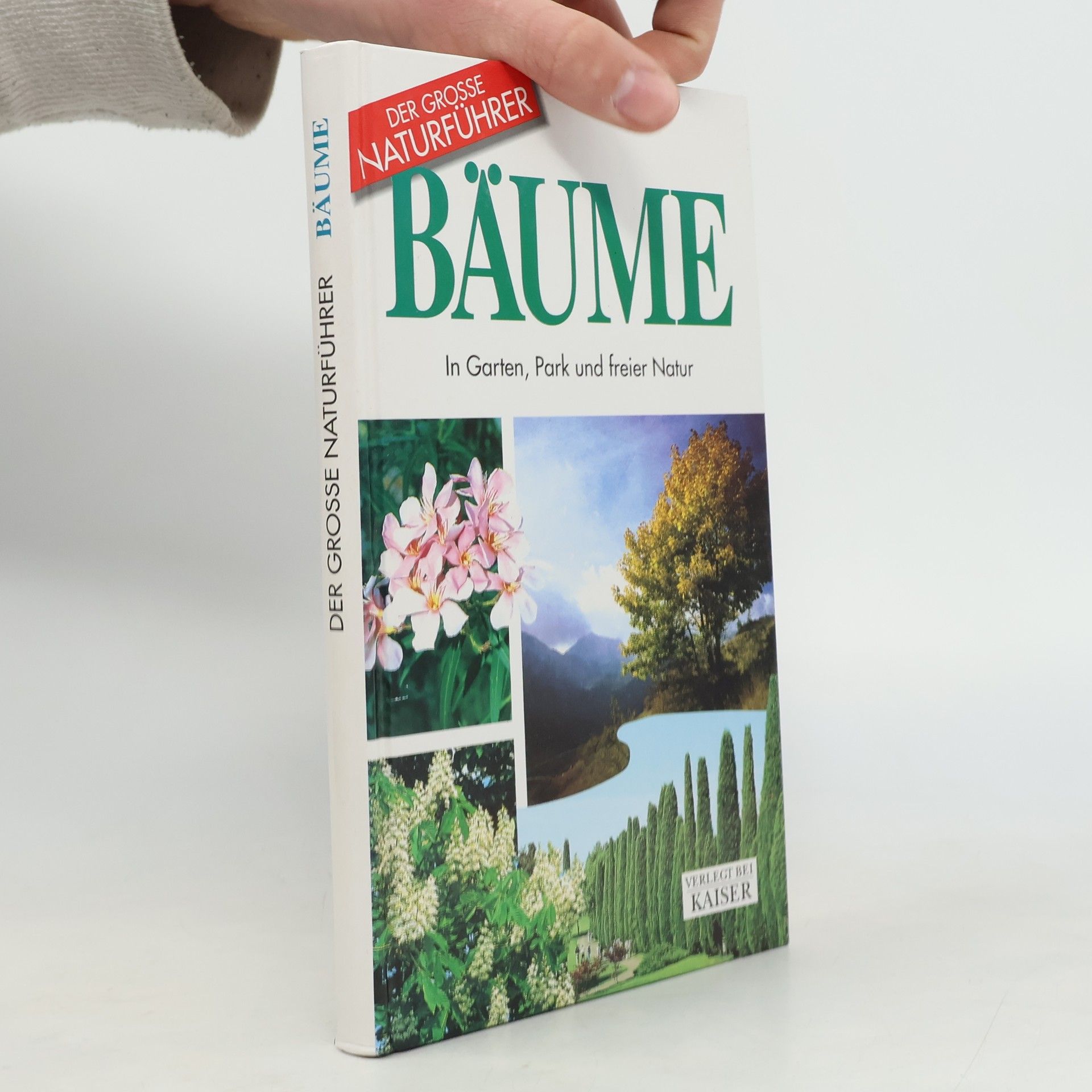 Enrico Banfi Bäume. In Garten, Park und freier Natur