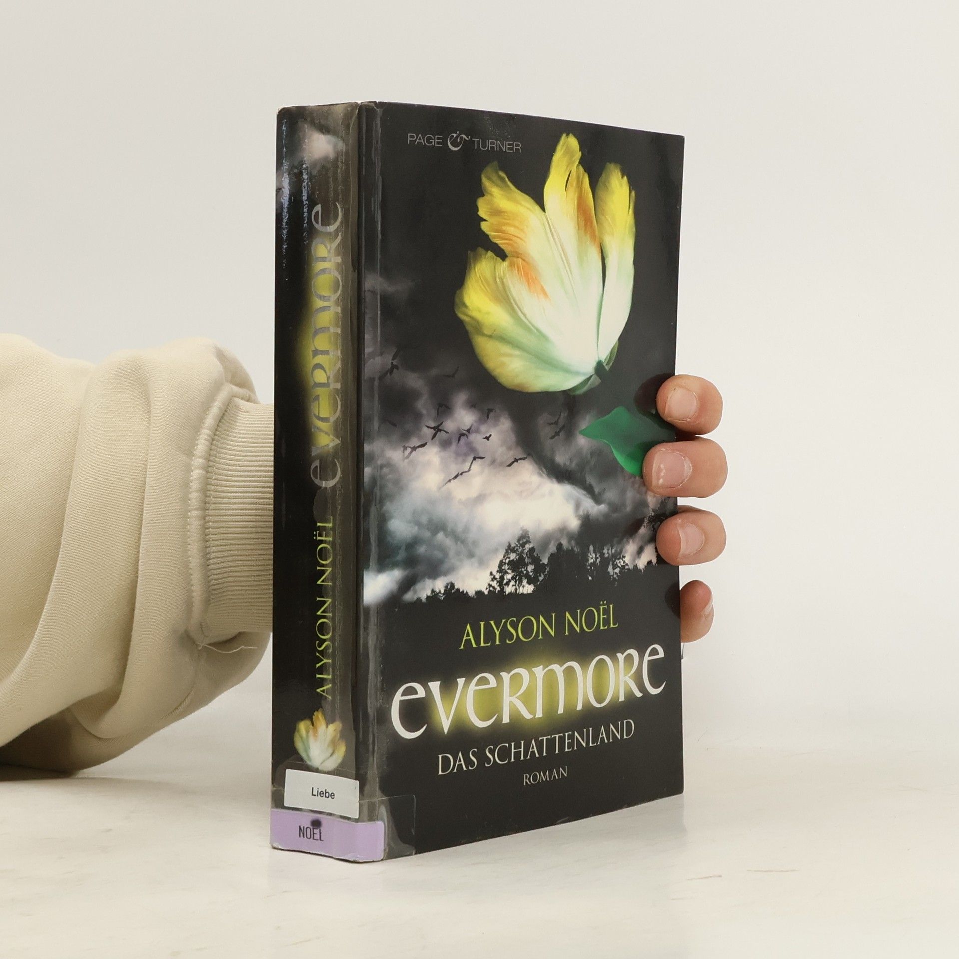 Alyson Noël Evermore: Das Schattenland