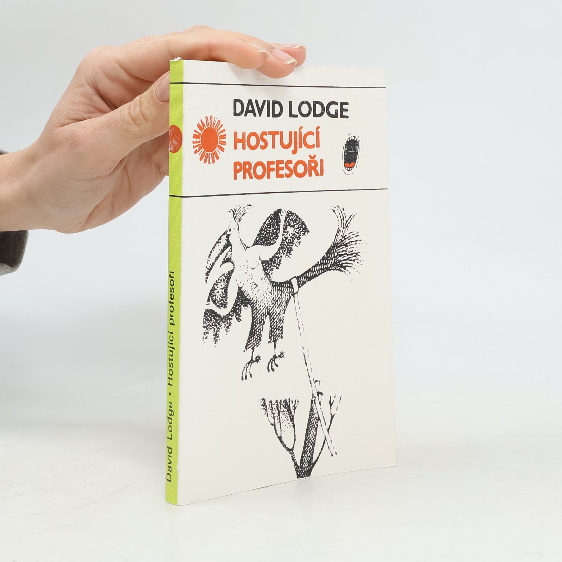 David Lodge Hostující profesoři