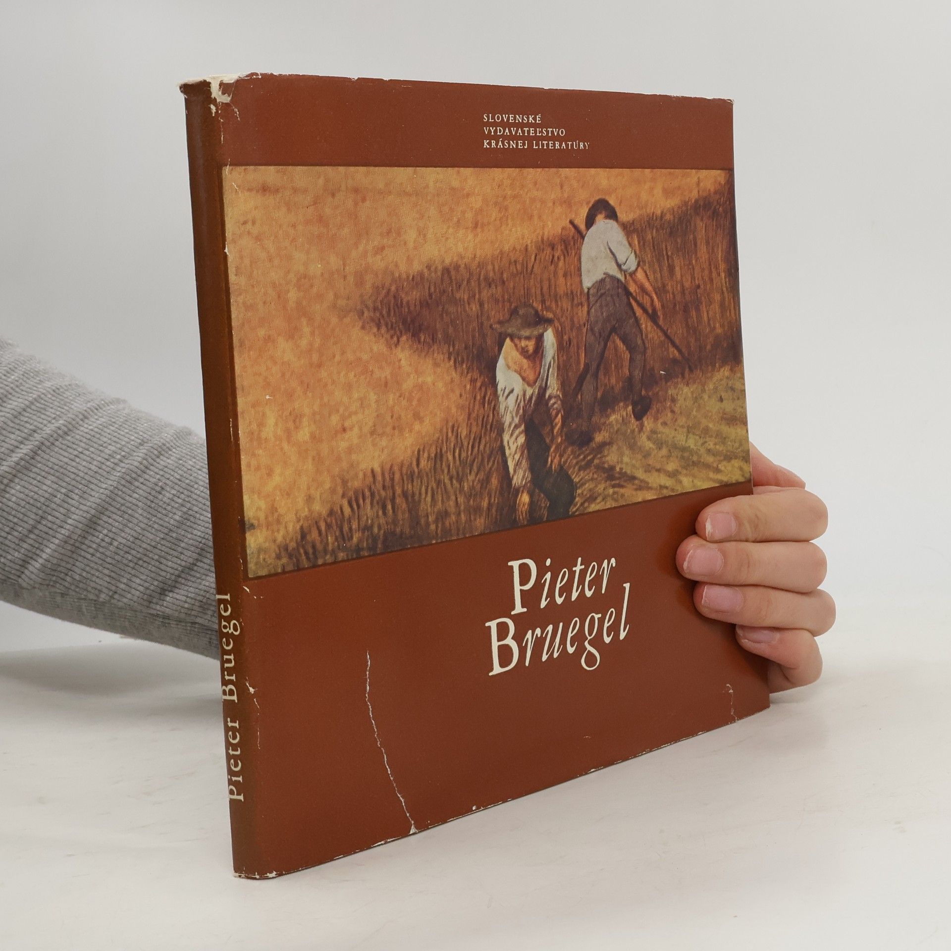 Jaromír Neumann Pieter Bruegel