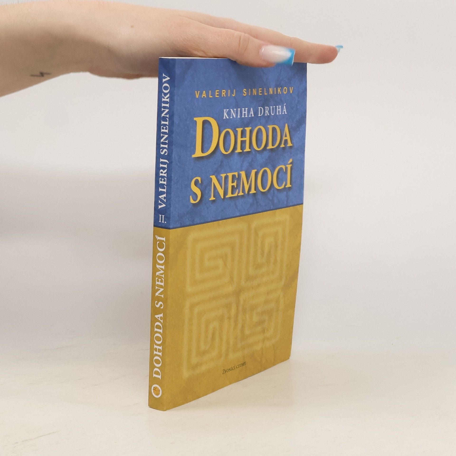 Valerij Vladimirovič Sinel‘nikov Dohoda s nemocí. Kniha druhá