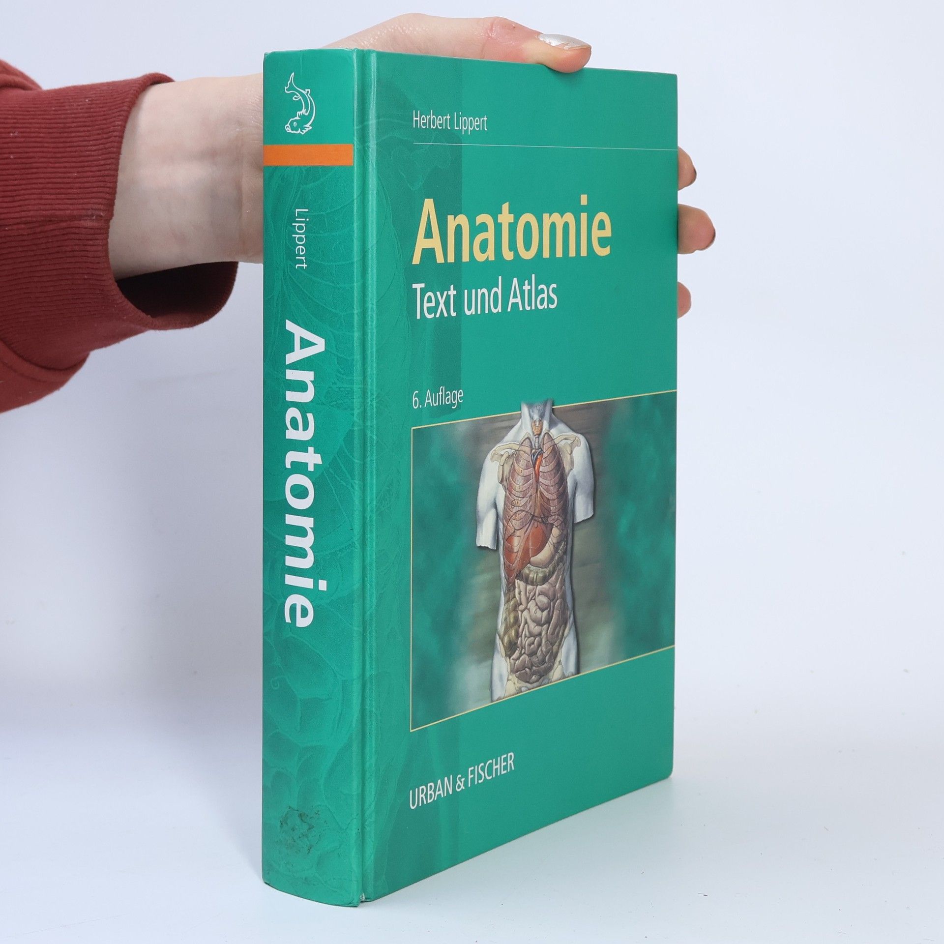 Herbert Lippert Anatomie