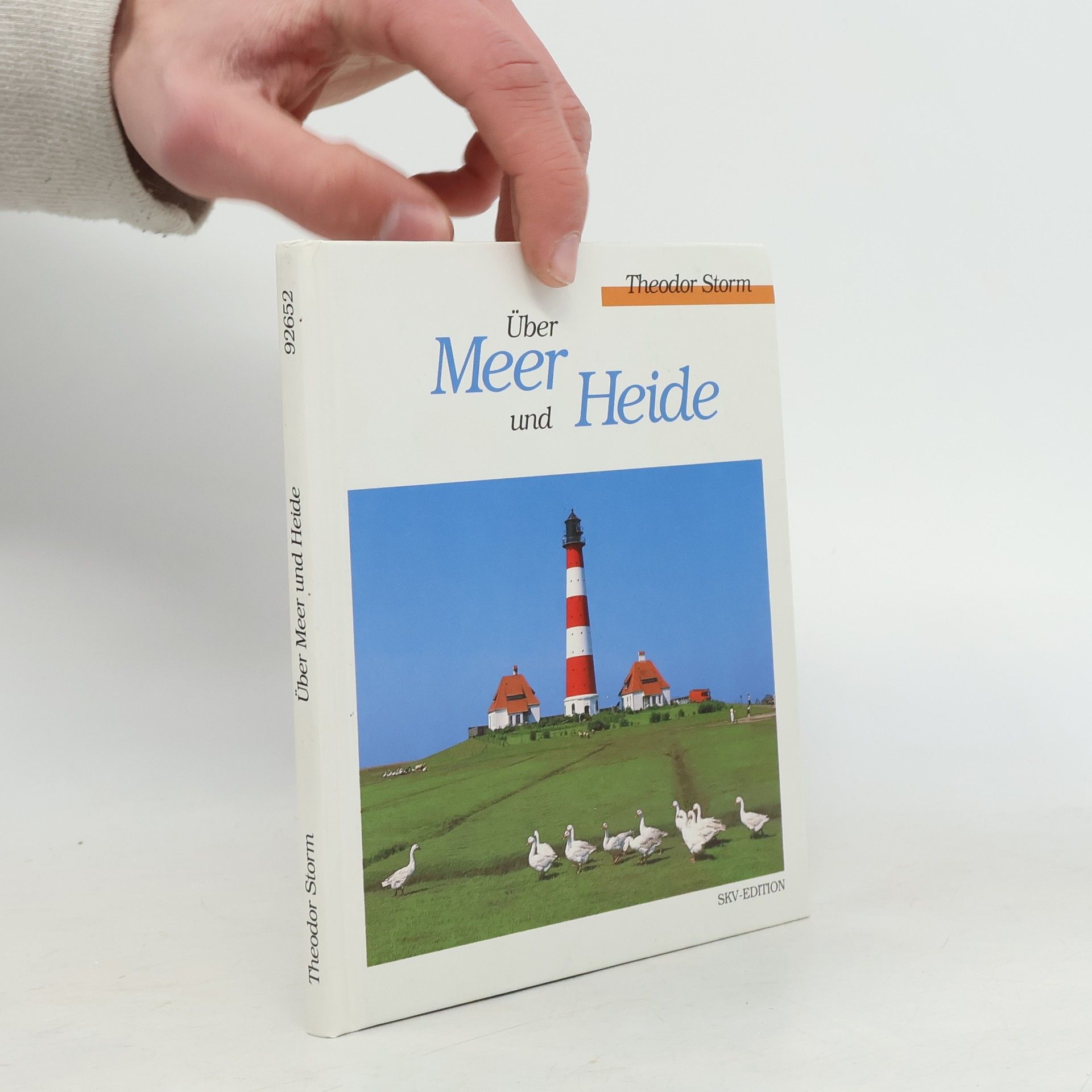 Theodor Storm Über Meer und Heide