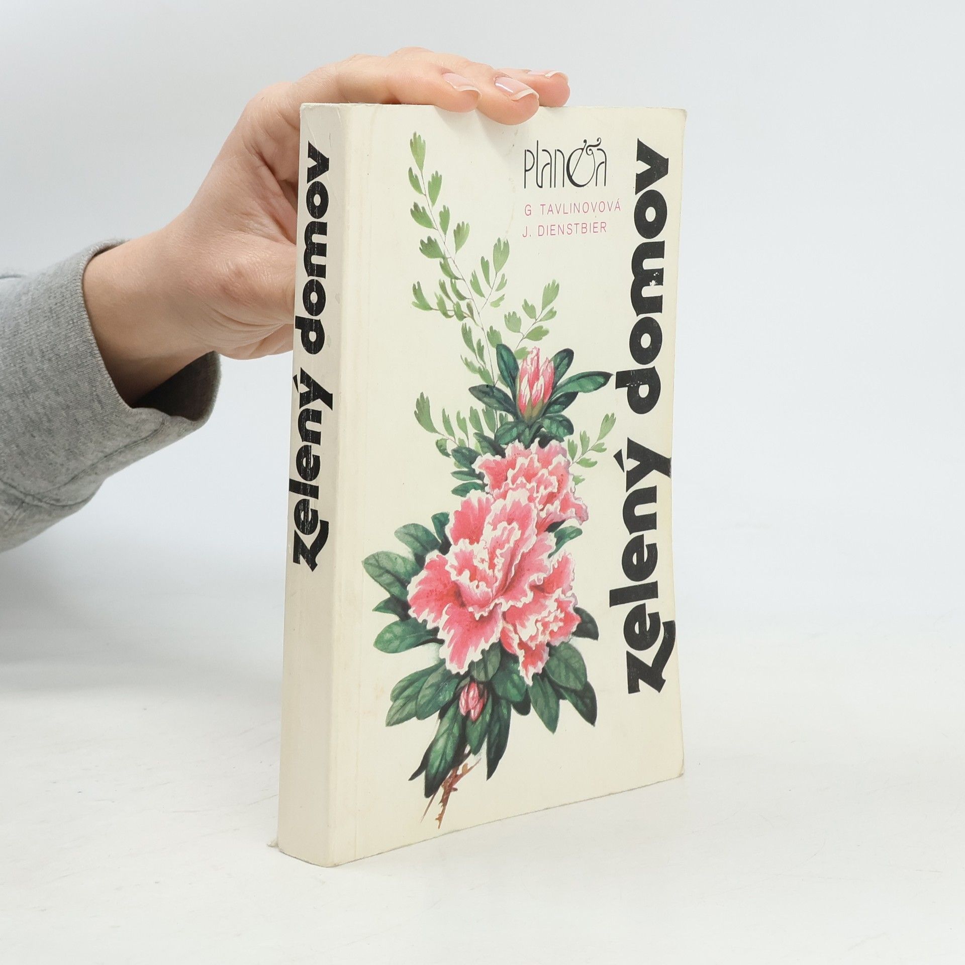 Jan Dienstbier Zelený domov