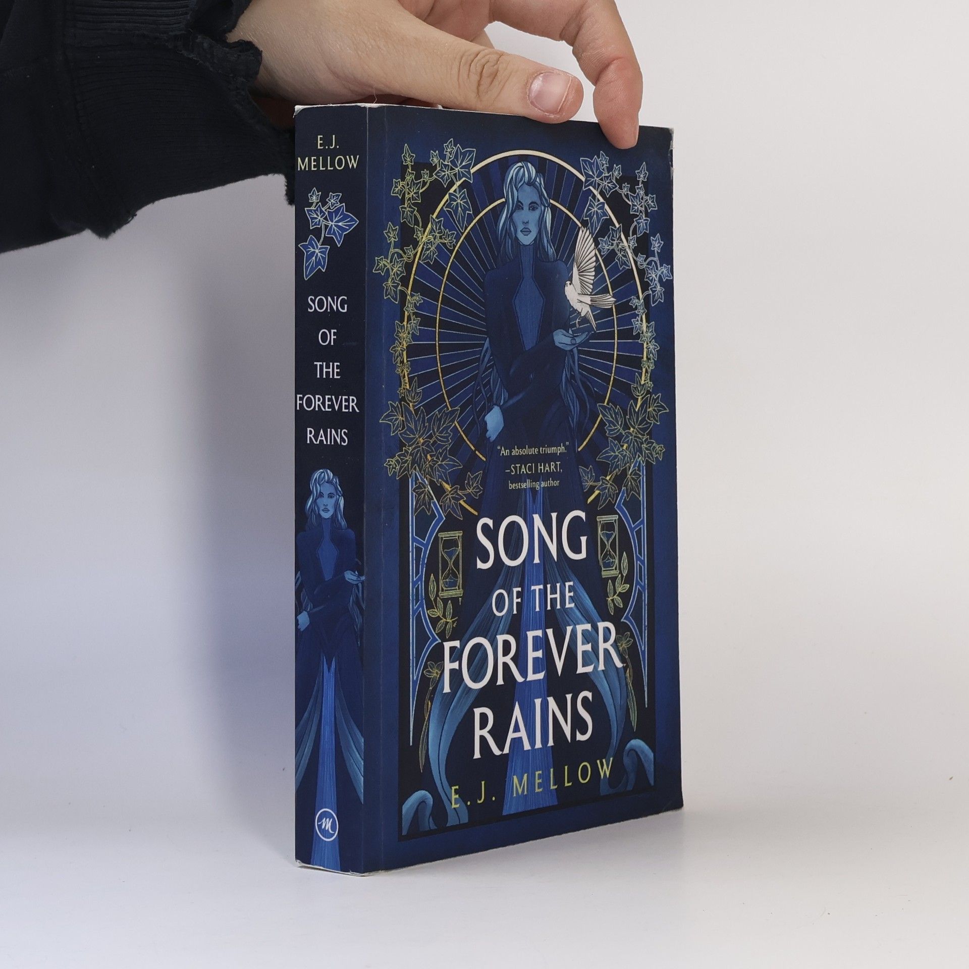 Song of the Forever Rains