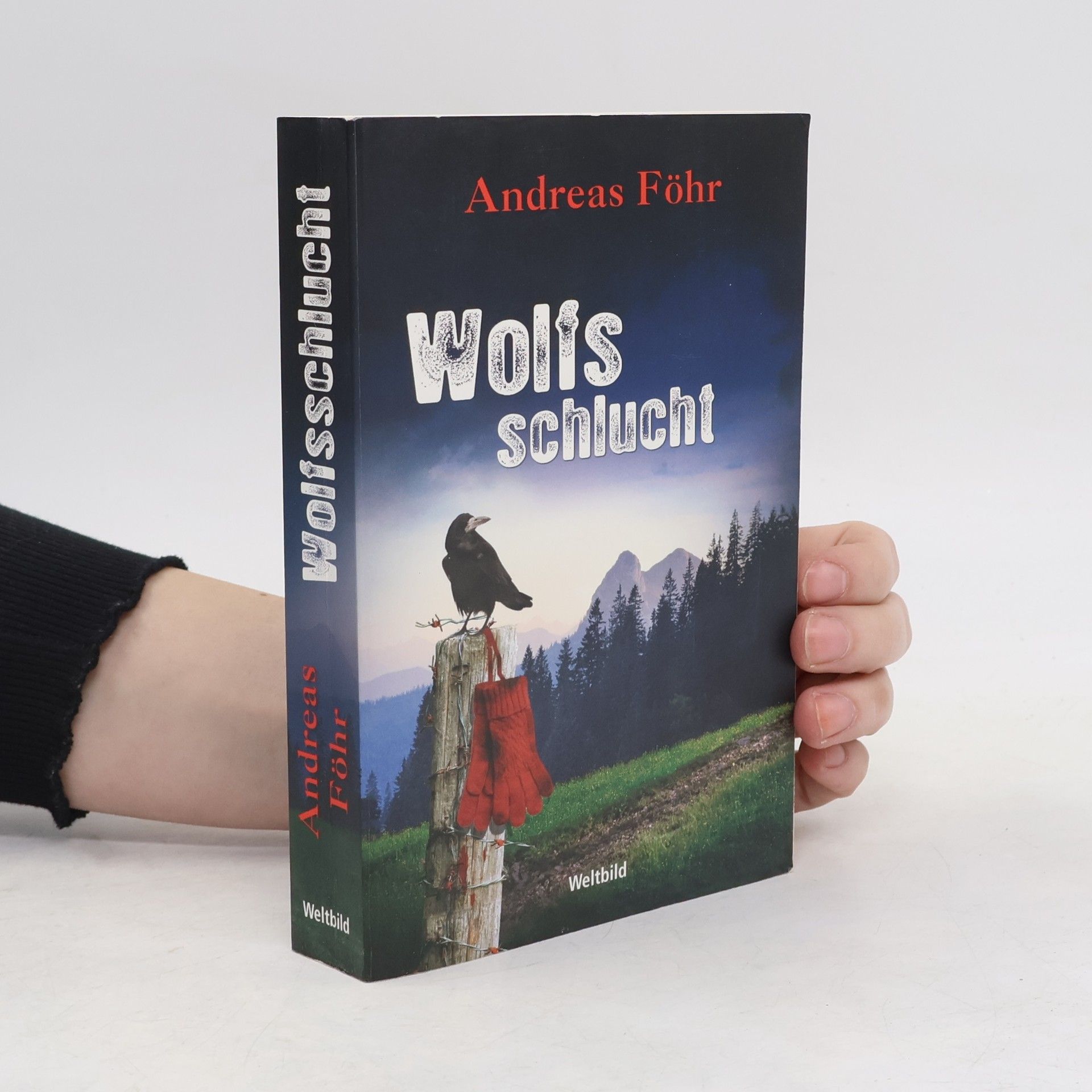 Andreas Föhr Wolfsschlucht