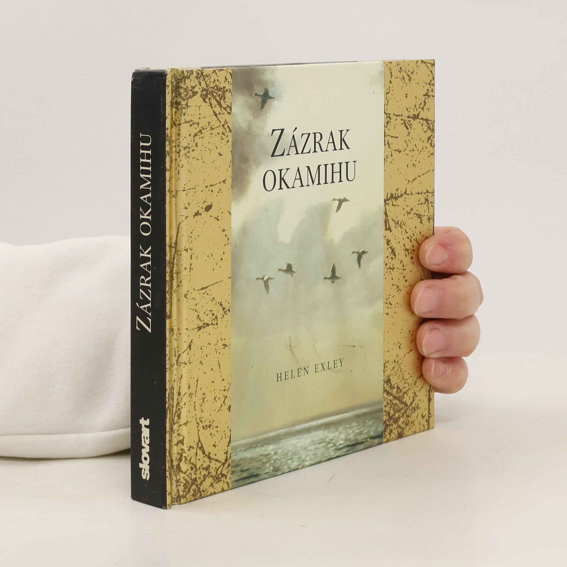 Helen Exley Zázrak okamihu