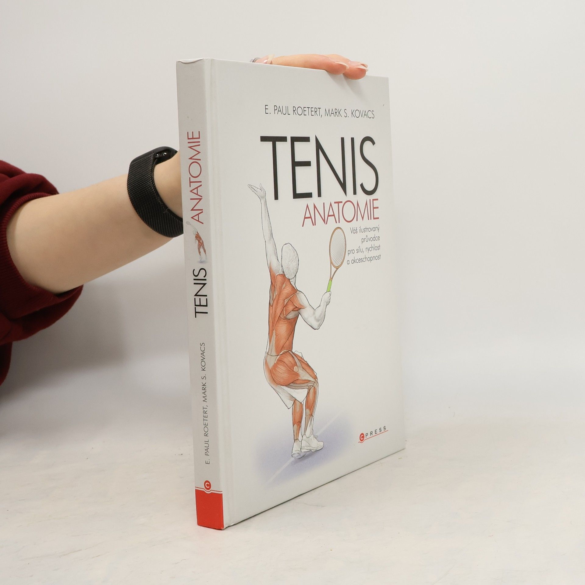 Paul Roetert Tenis: Anatomie
