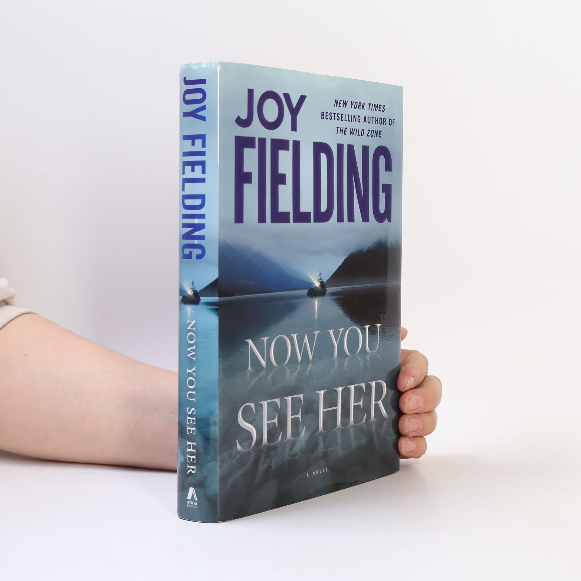Joy Fielding Now You See Her
