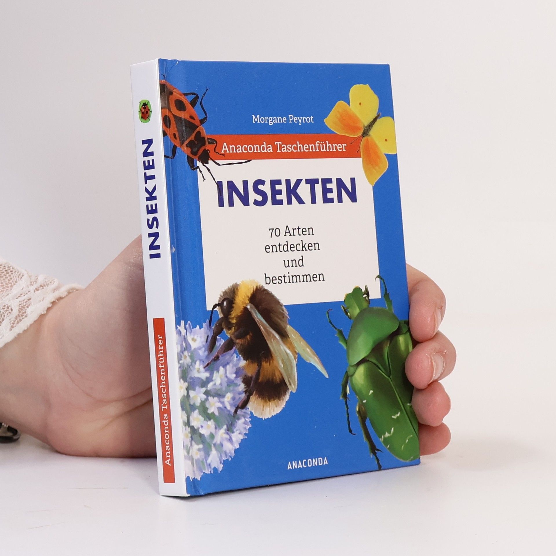 Morgane Peyrot Insekten. 70 Arten entdecken und bestimmen