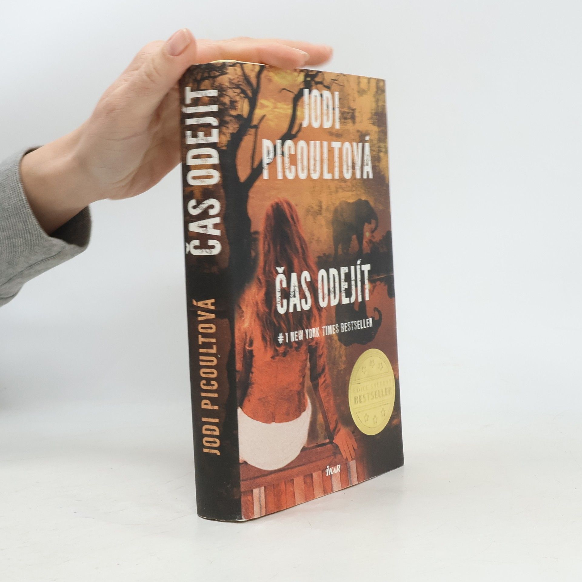 Jodi Picoult Čas odejít