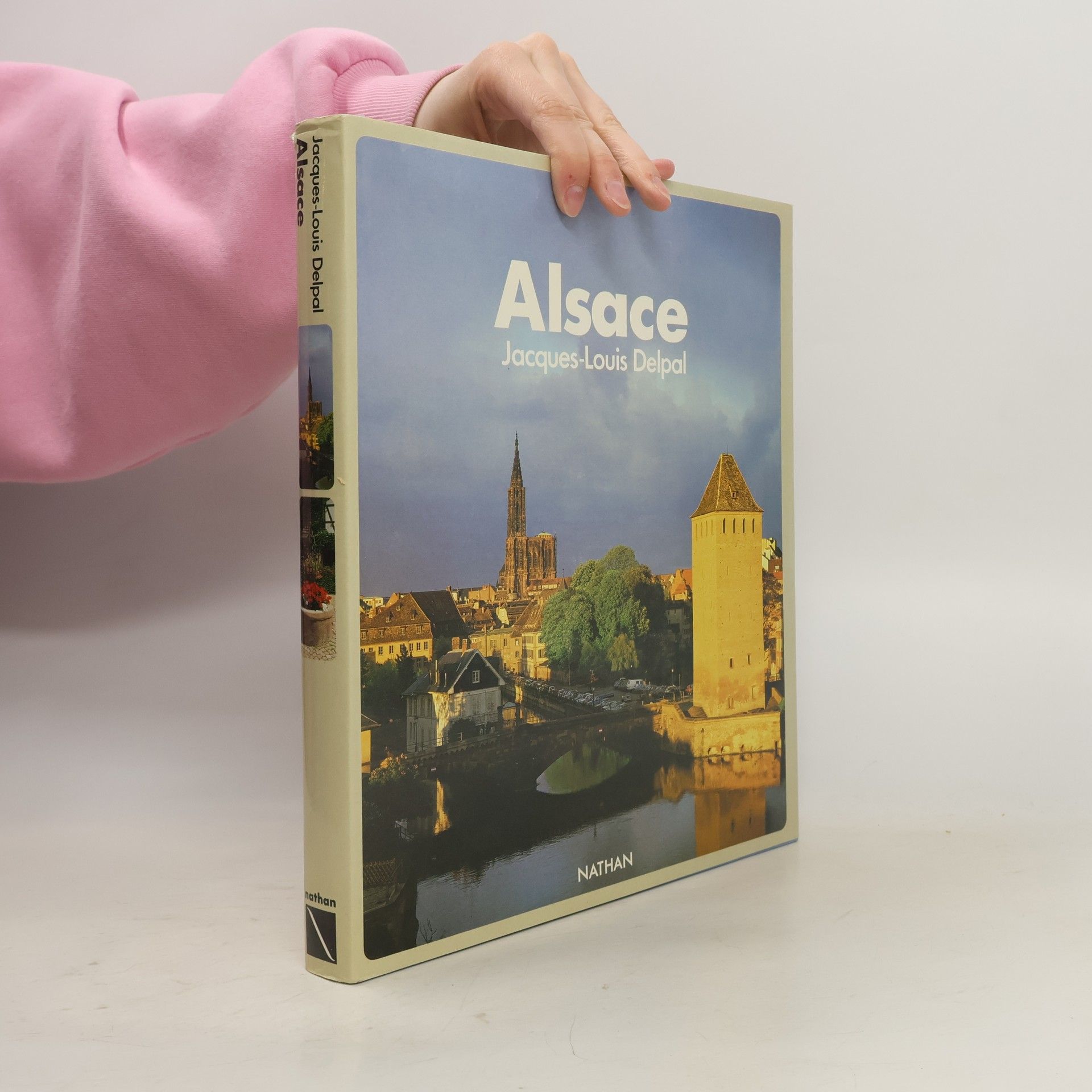 Jacques-Louis Delpal Alsace