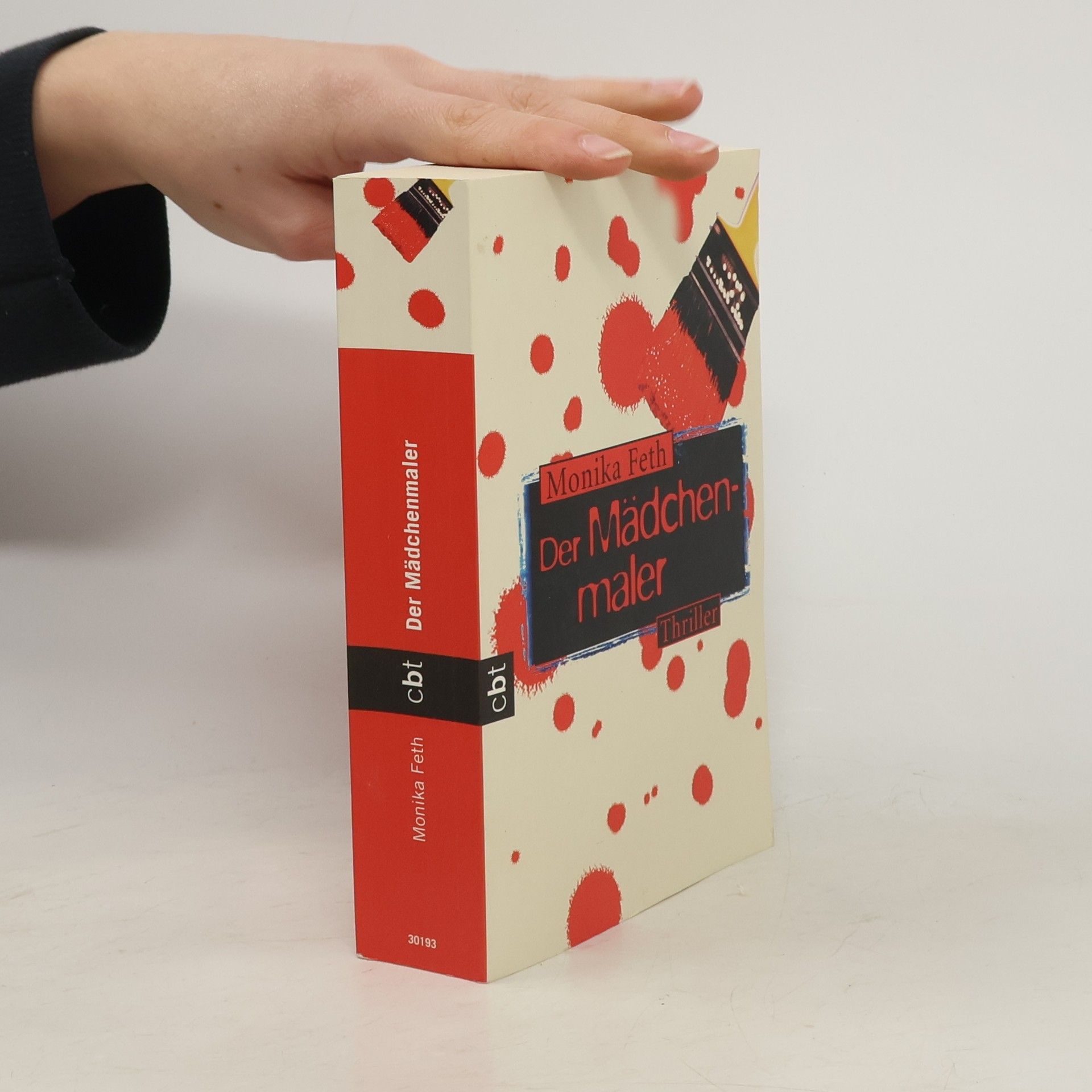 Monika Feth Der Mädchenmaler