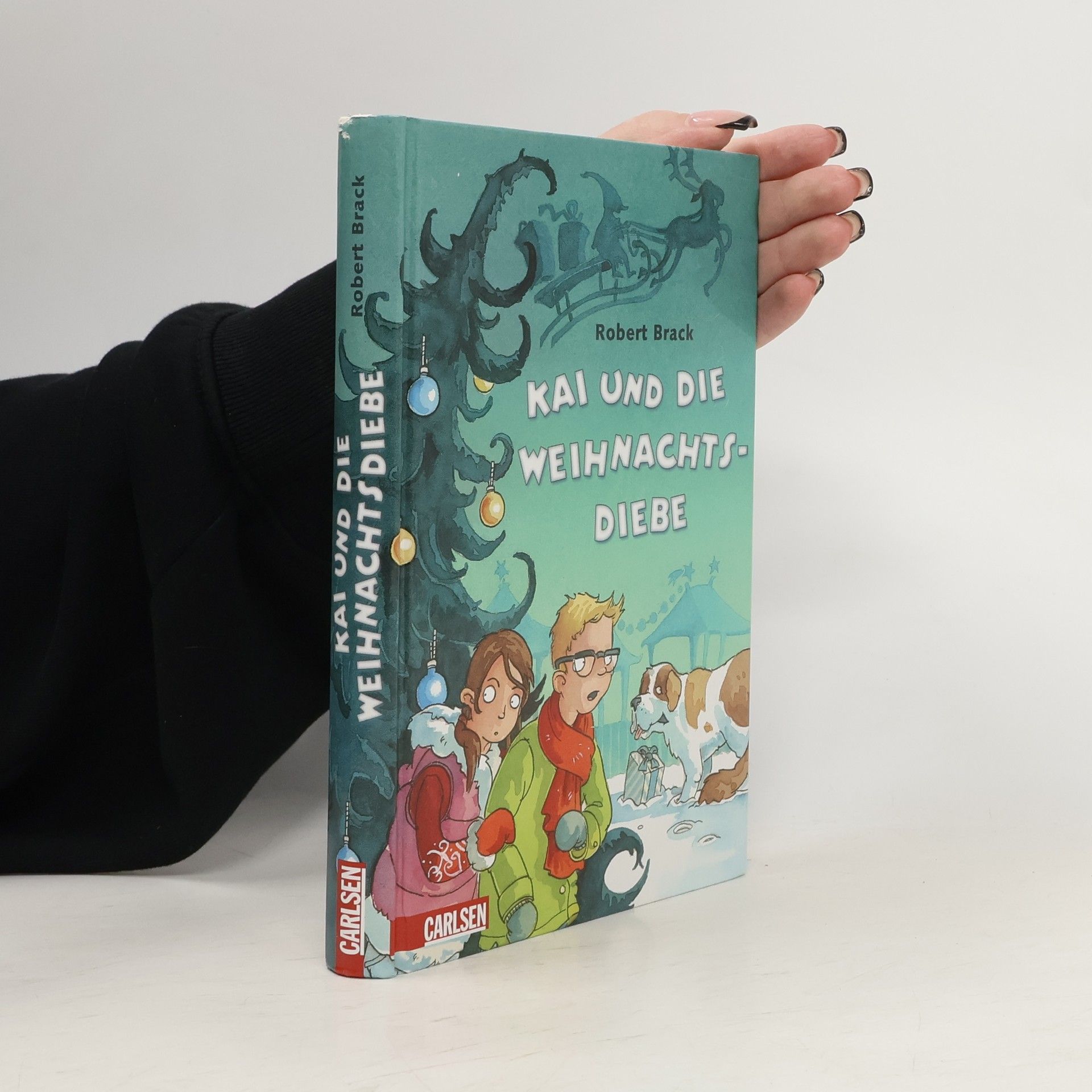 Kai und die Weihnachtsdiebe