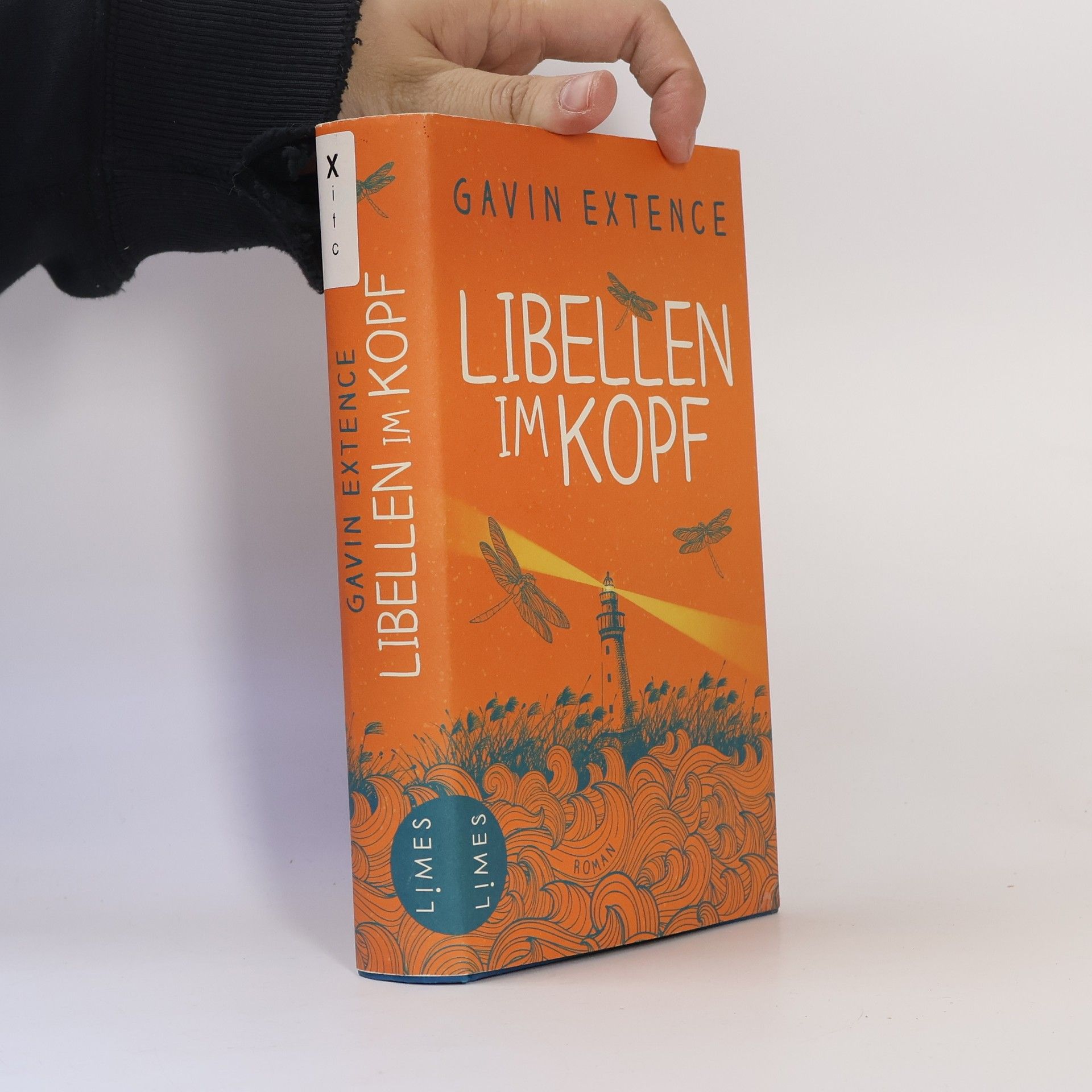 Gavin Extence Libellen im Kopf