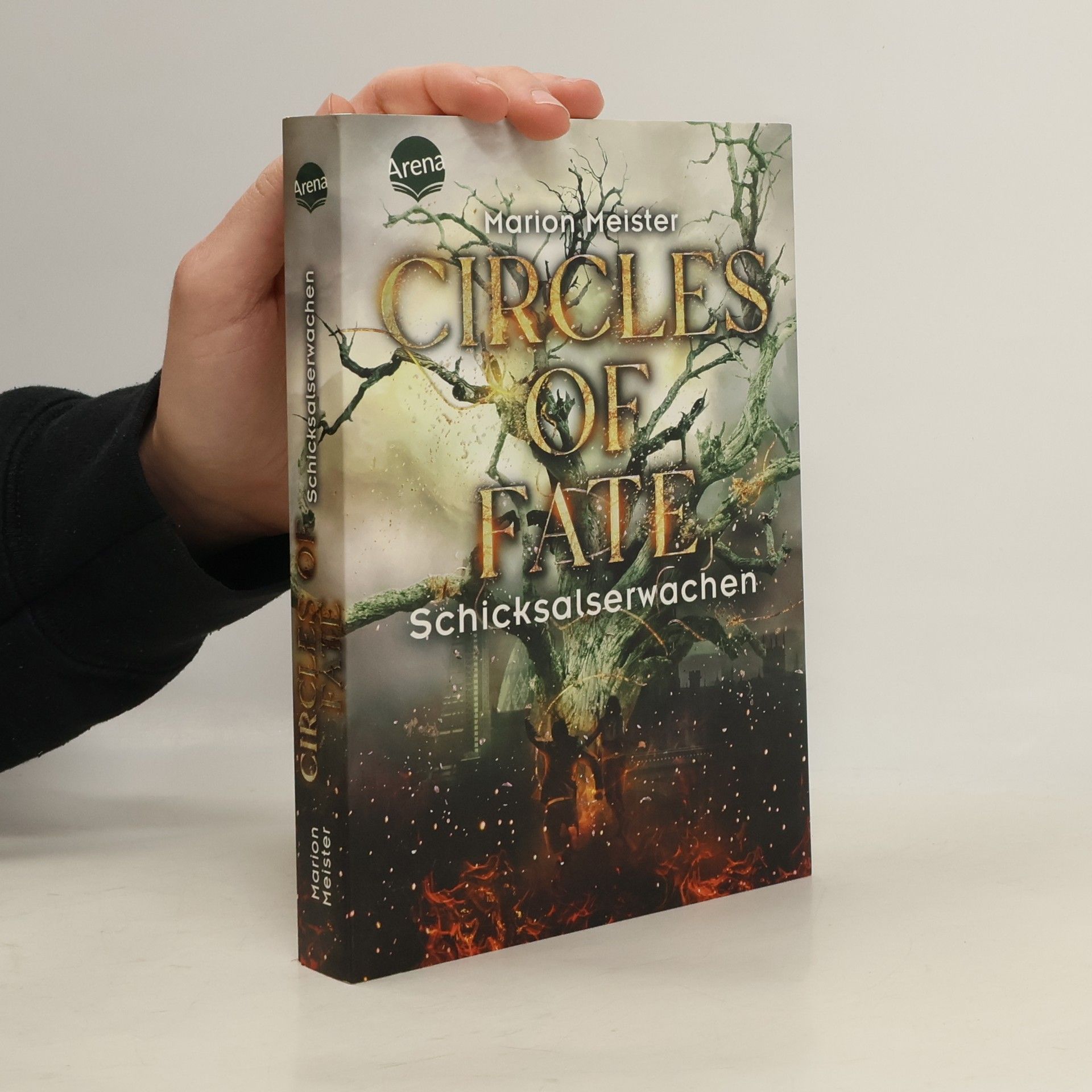 Marion Meister Circles of Fate. Schicksalserwachen