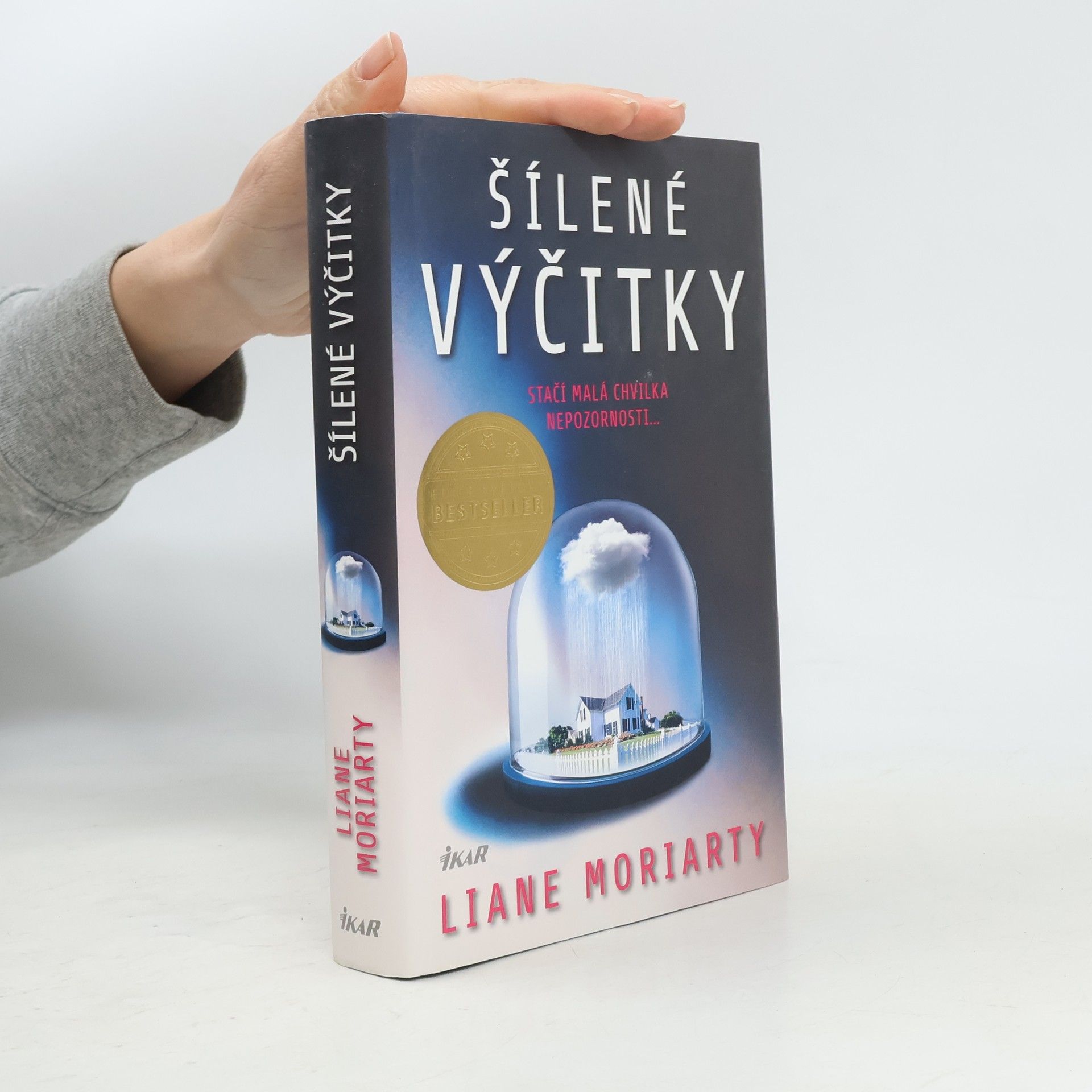 Liane Moriarty Šílené výčitky