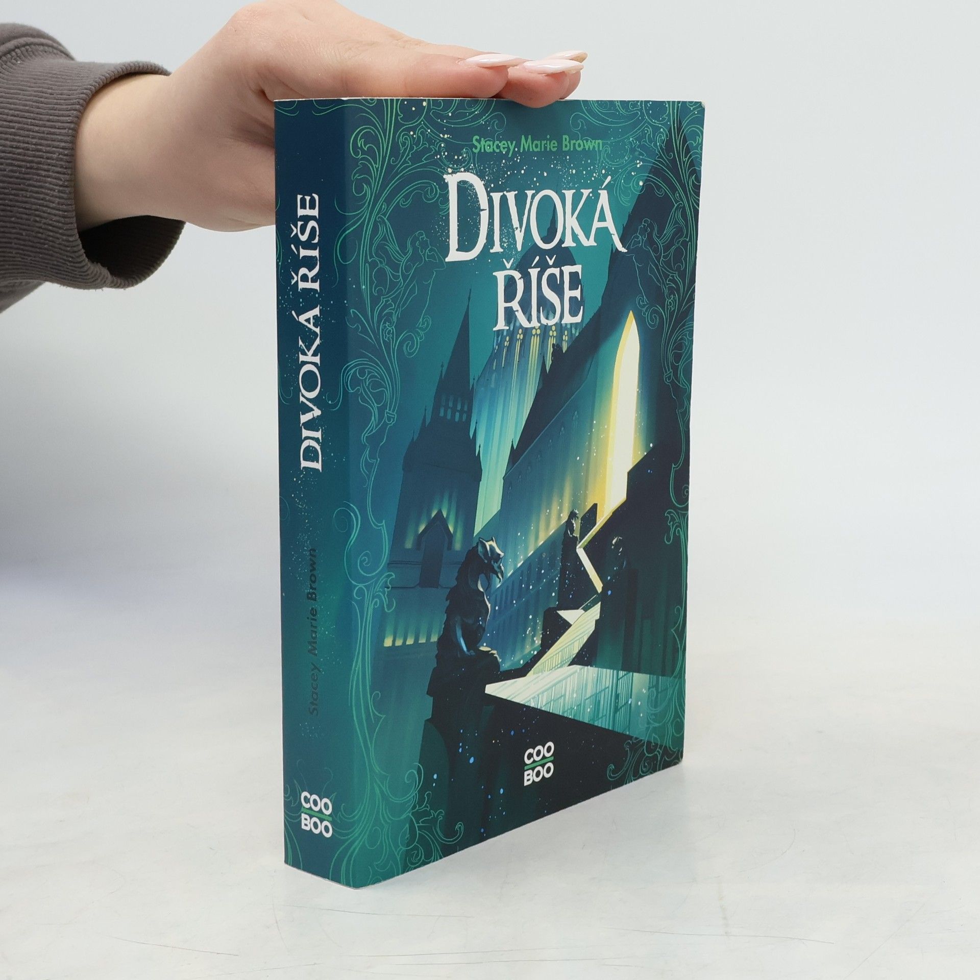 Stacey Marie Brown Divoká říše