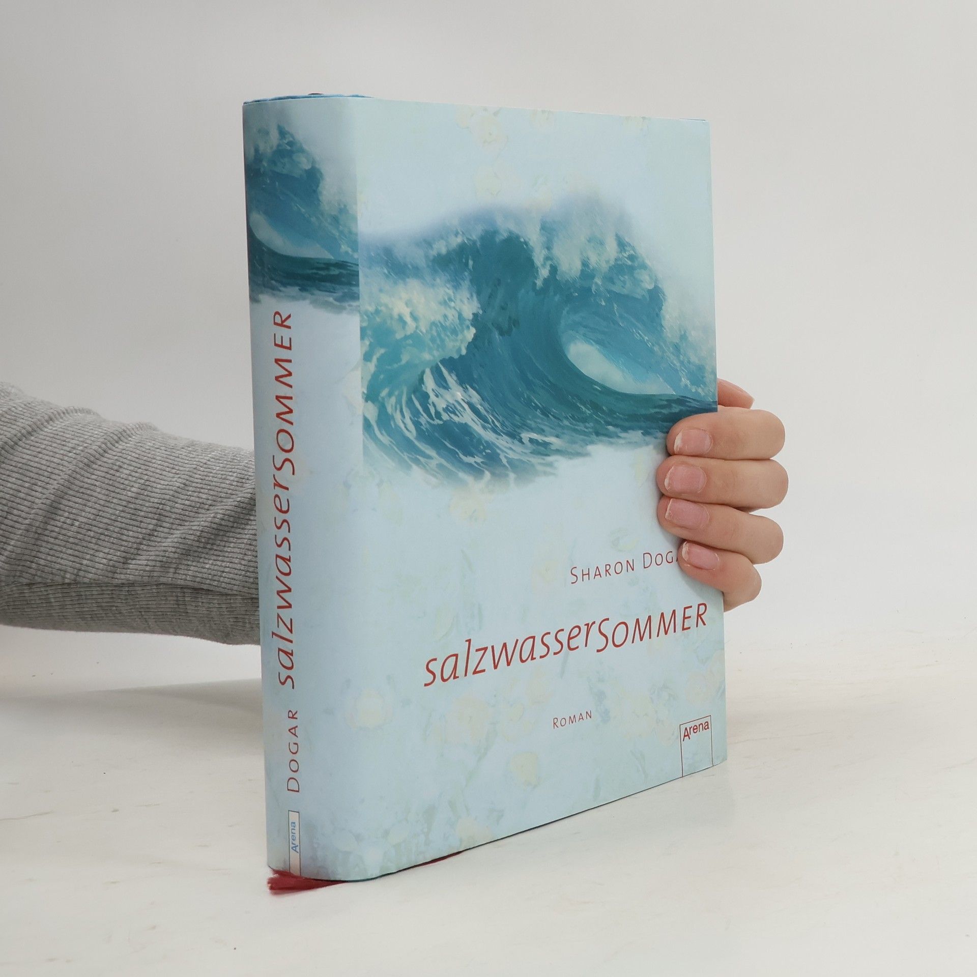 Sharon Dogar Salzwassersommer