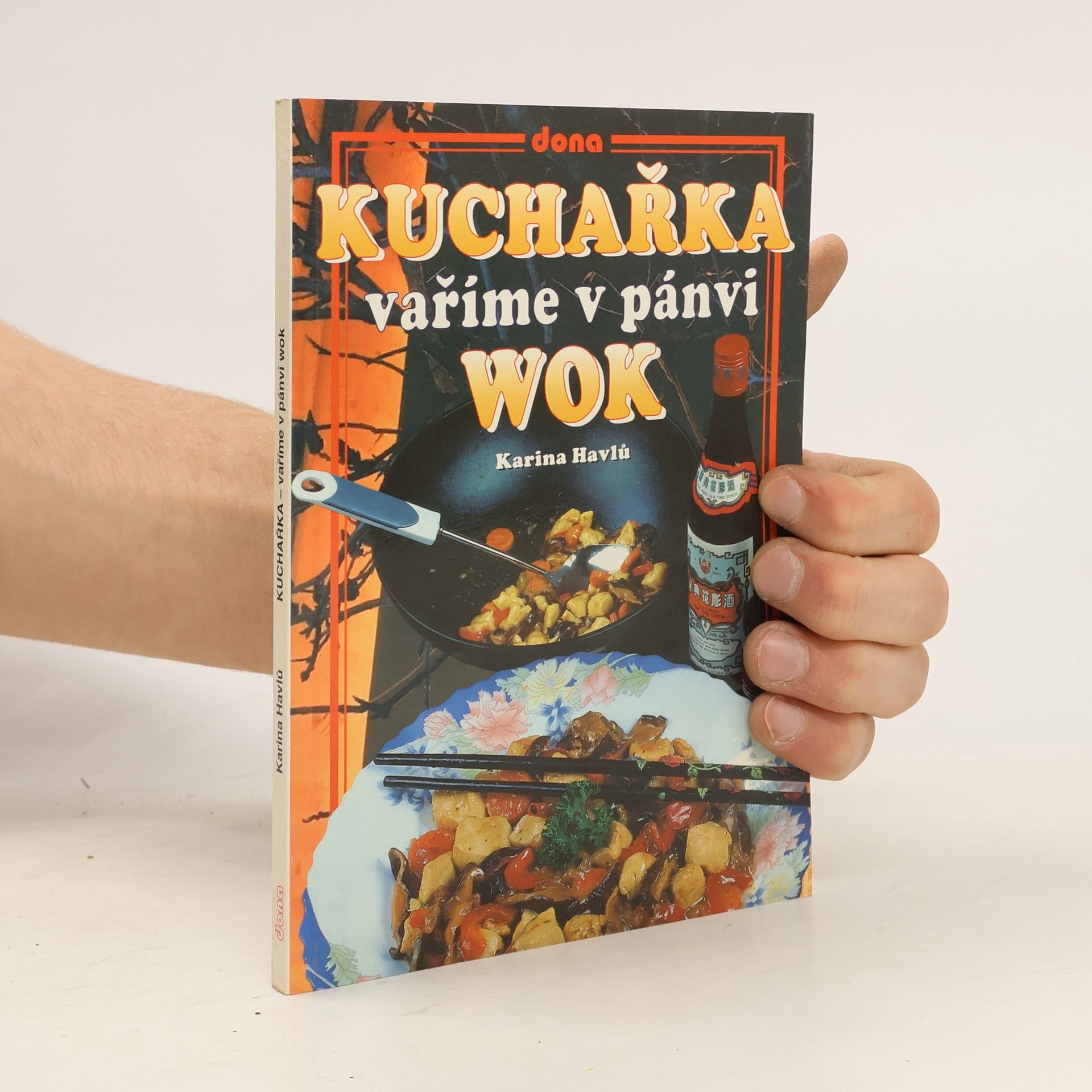 Karina Havlů Vaříme v pánvi WOK