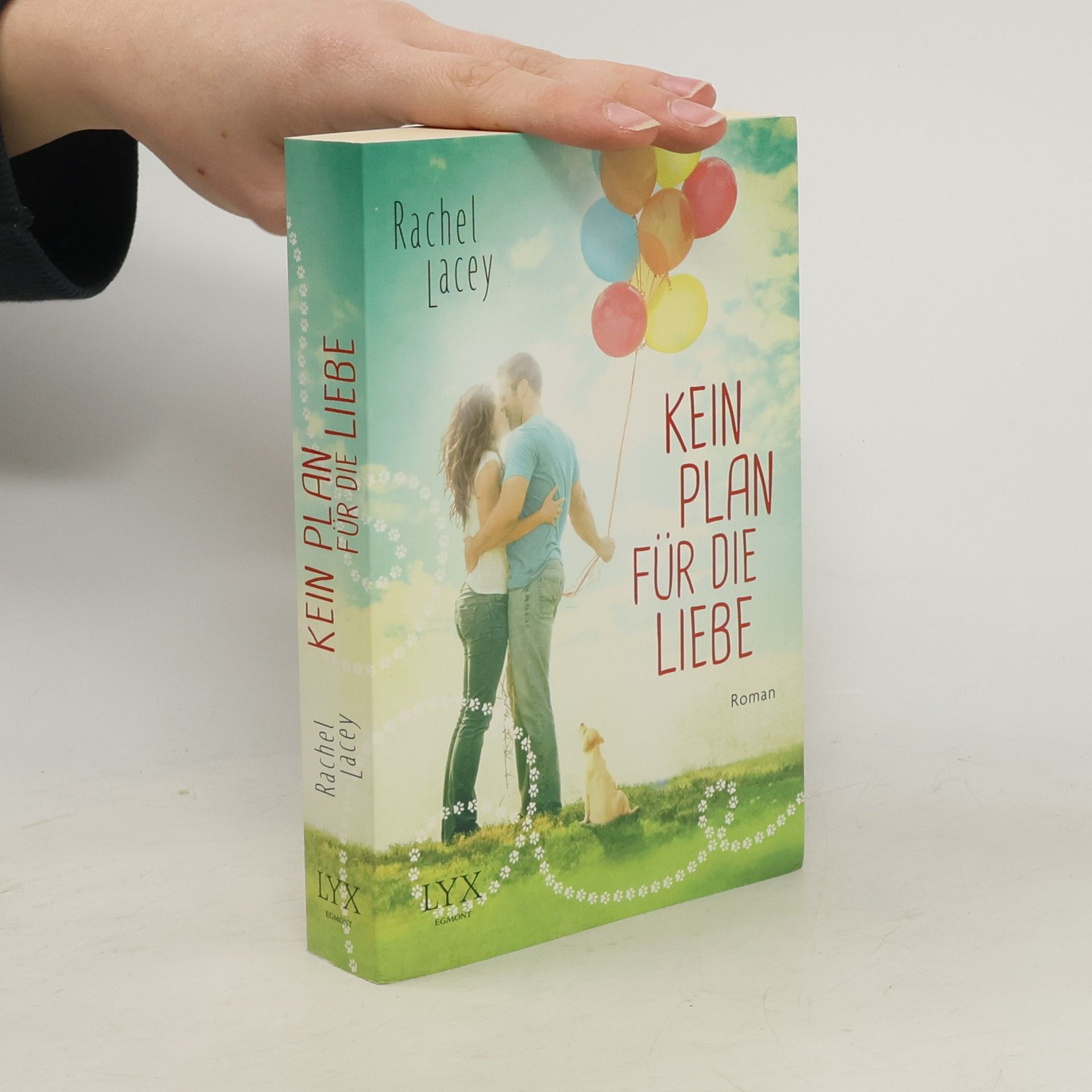 Rachel Lacey Kein Plan für die Liebe