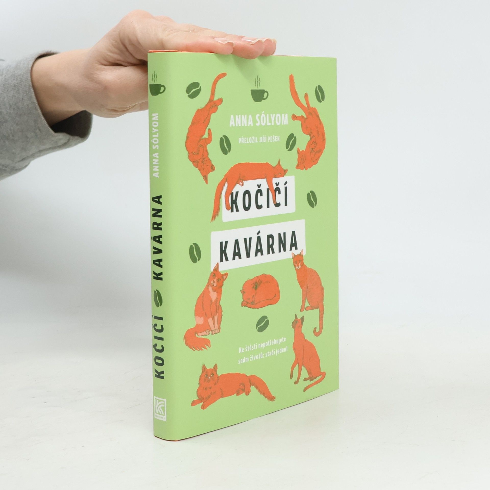 Anna Sólyom Kočičí kavárna