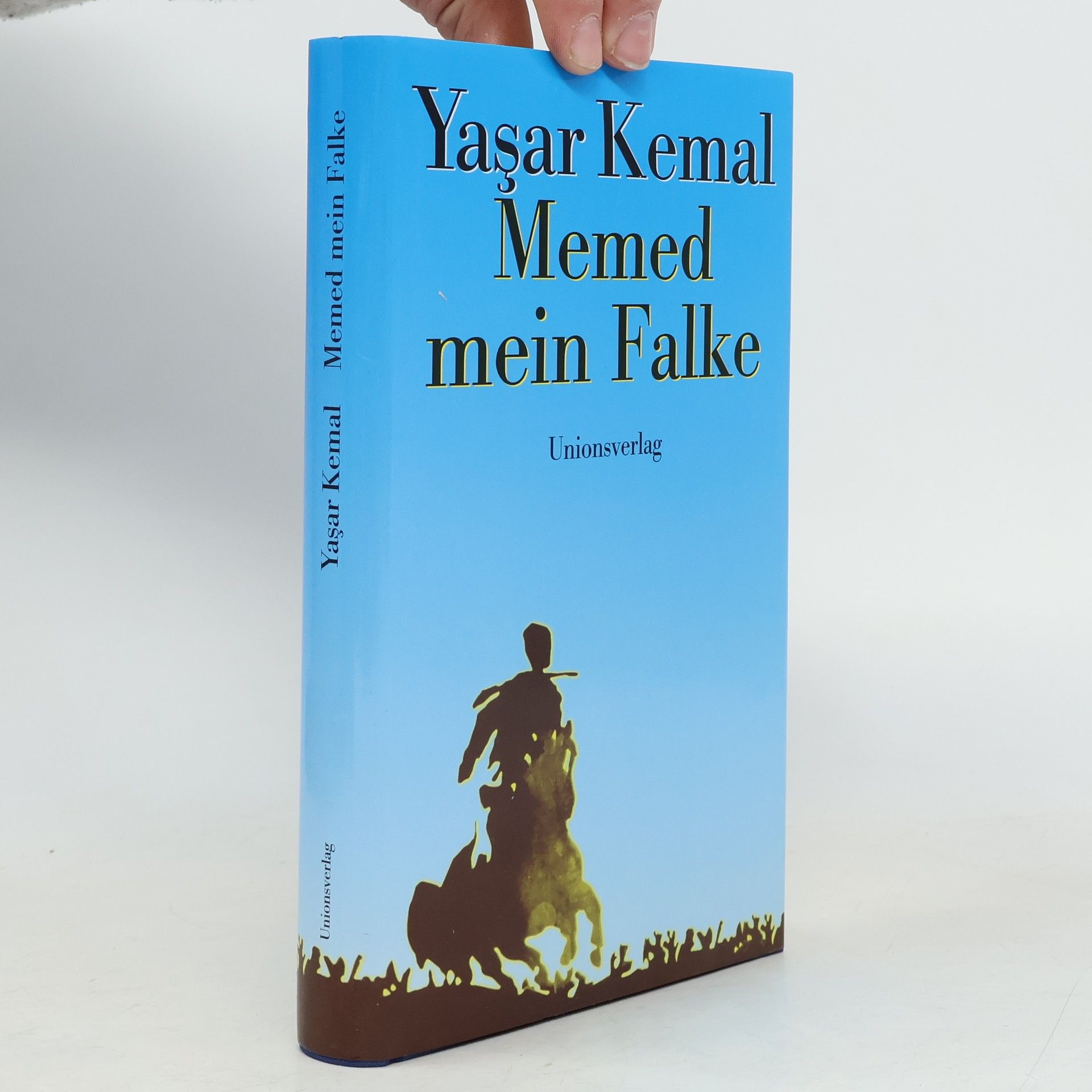 Yaşar Kemal Memed, mein Falke