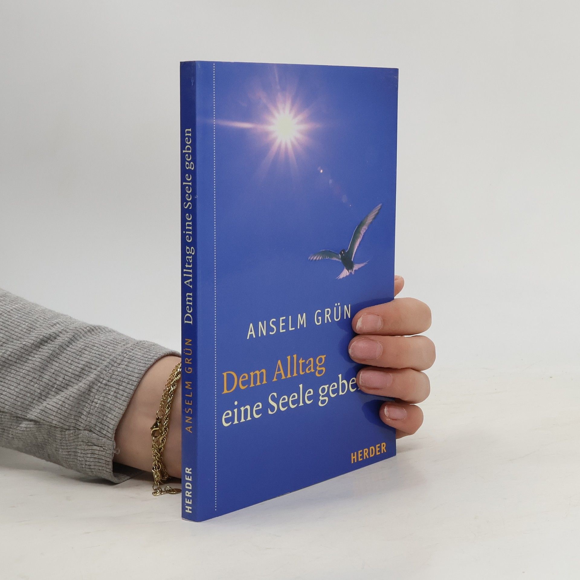 Anselm Grün Dem Alltag eine Seele geben