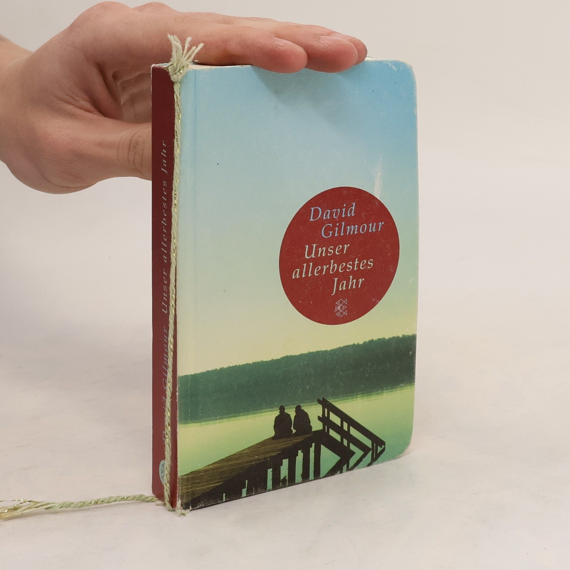 David Gilmour Unser allerbestes Jahr