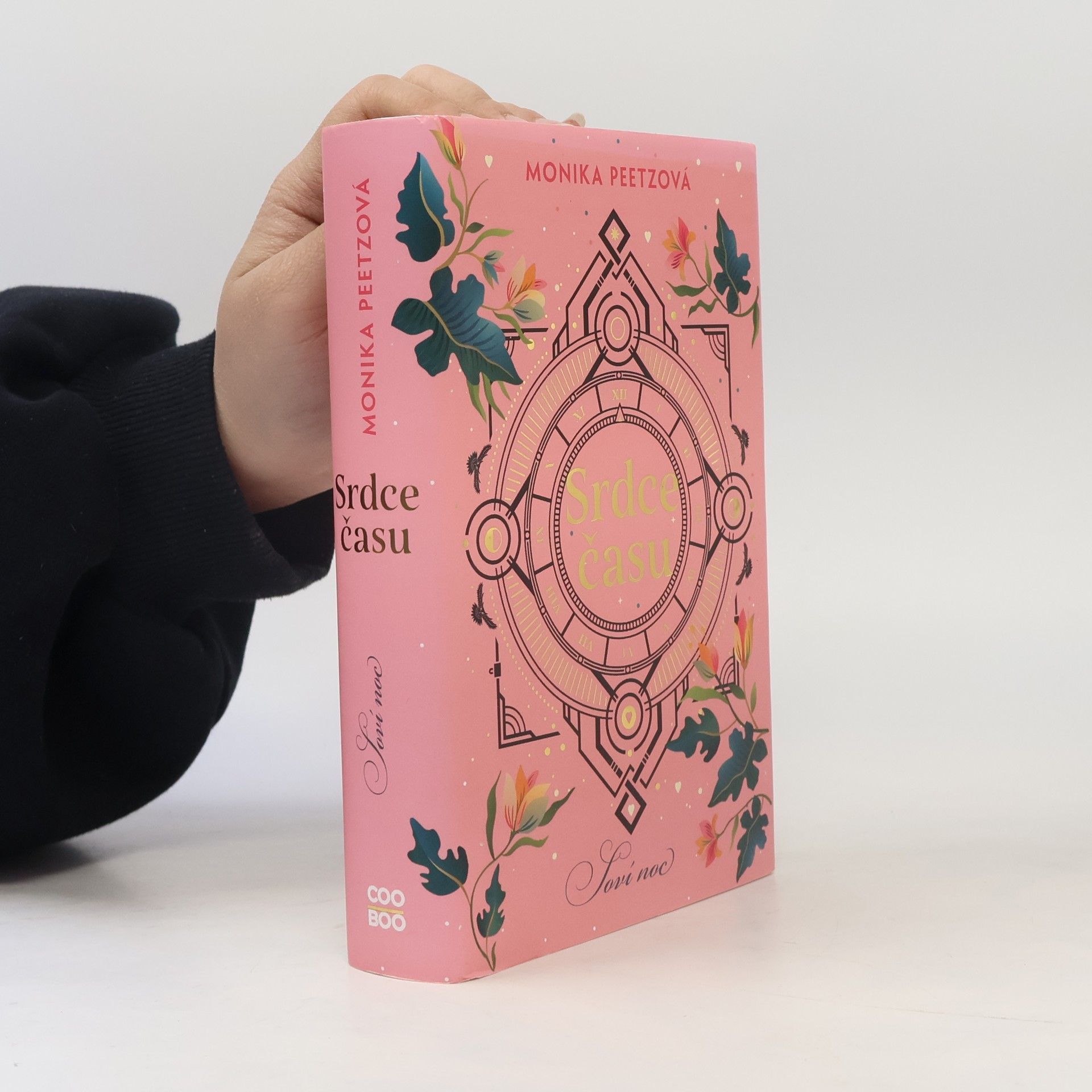Monika Peetz Srdce času. Soví noc