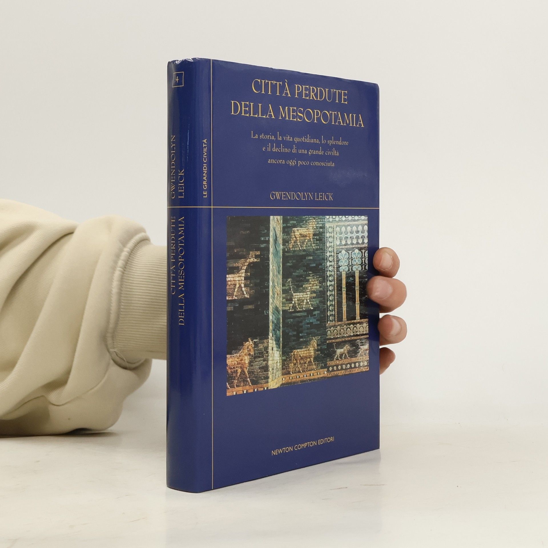 Gwendolyn Leick Città perdute della Mesopotamia : la storia, la vita quotidiana, lo splendore e il declino di una grande civiltà ancora oggi poco conosciuta