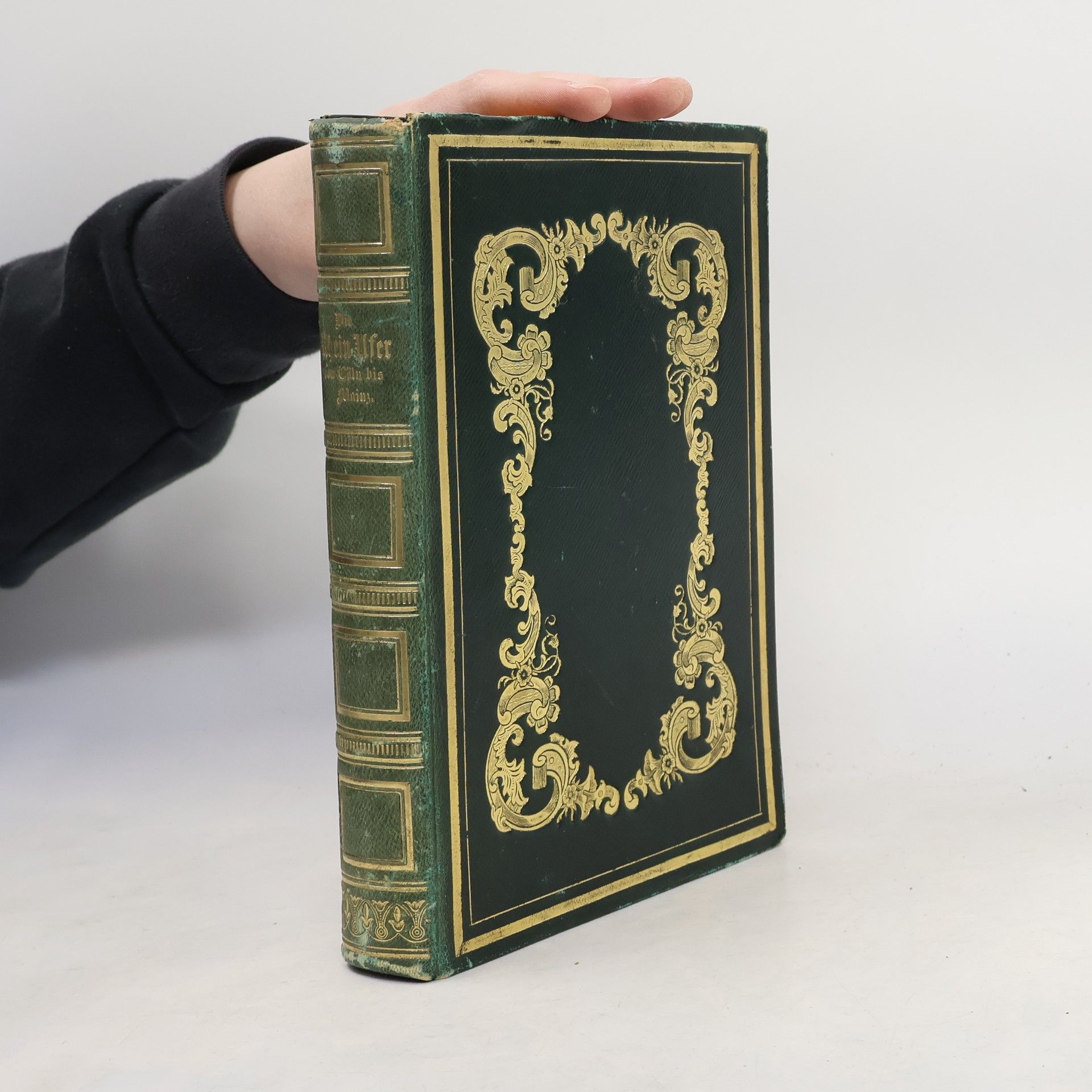 William Gray Fearnside Tombleson's Views of the Rhine