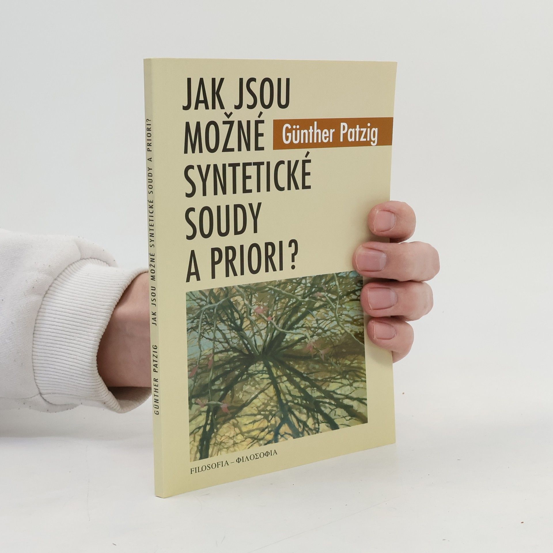 Günther Patzig Jak jsou možné syntetické soudy a priori?