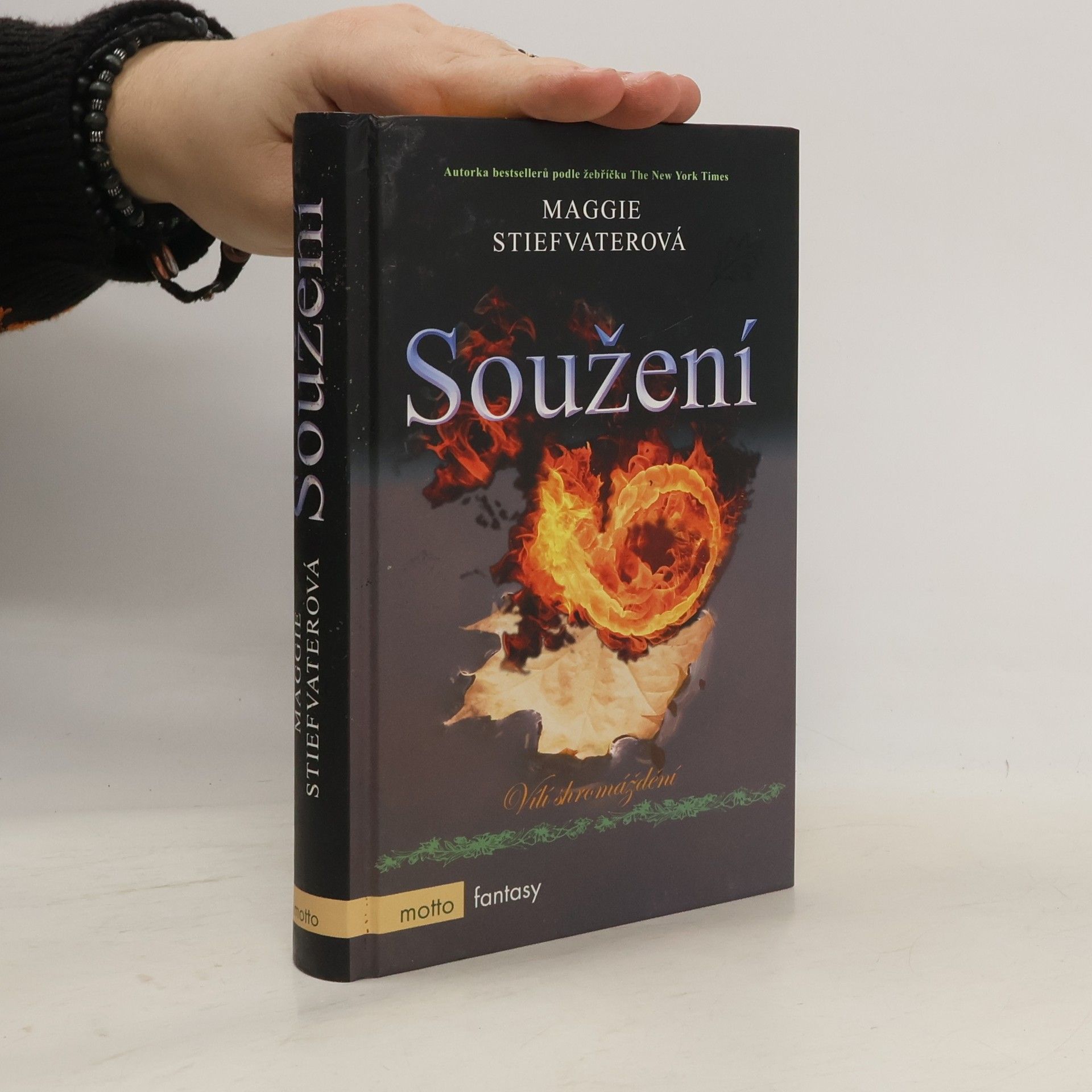 Maggie Stiefvater Soužení