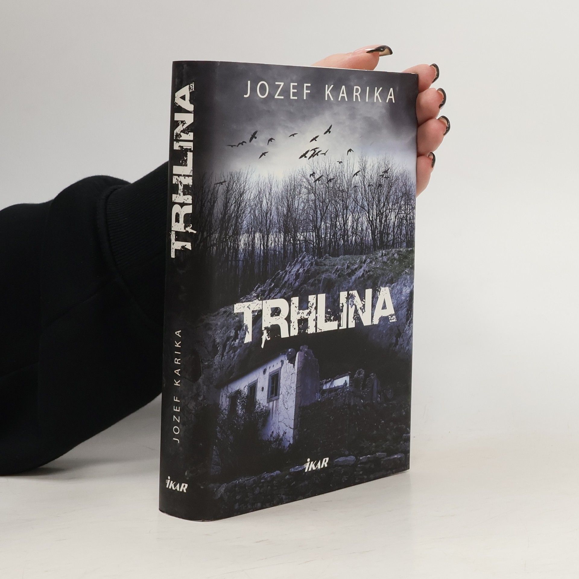 Jozef Karika Trhlina