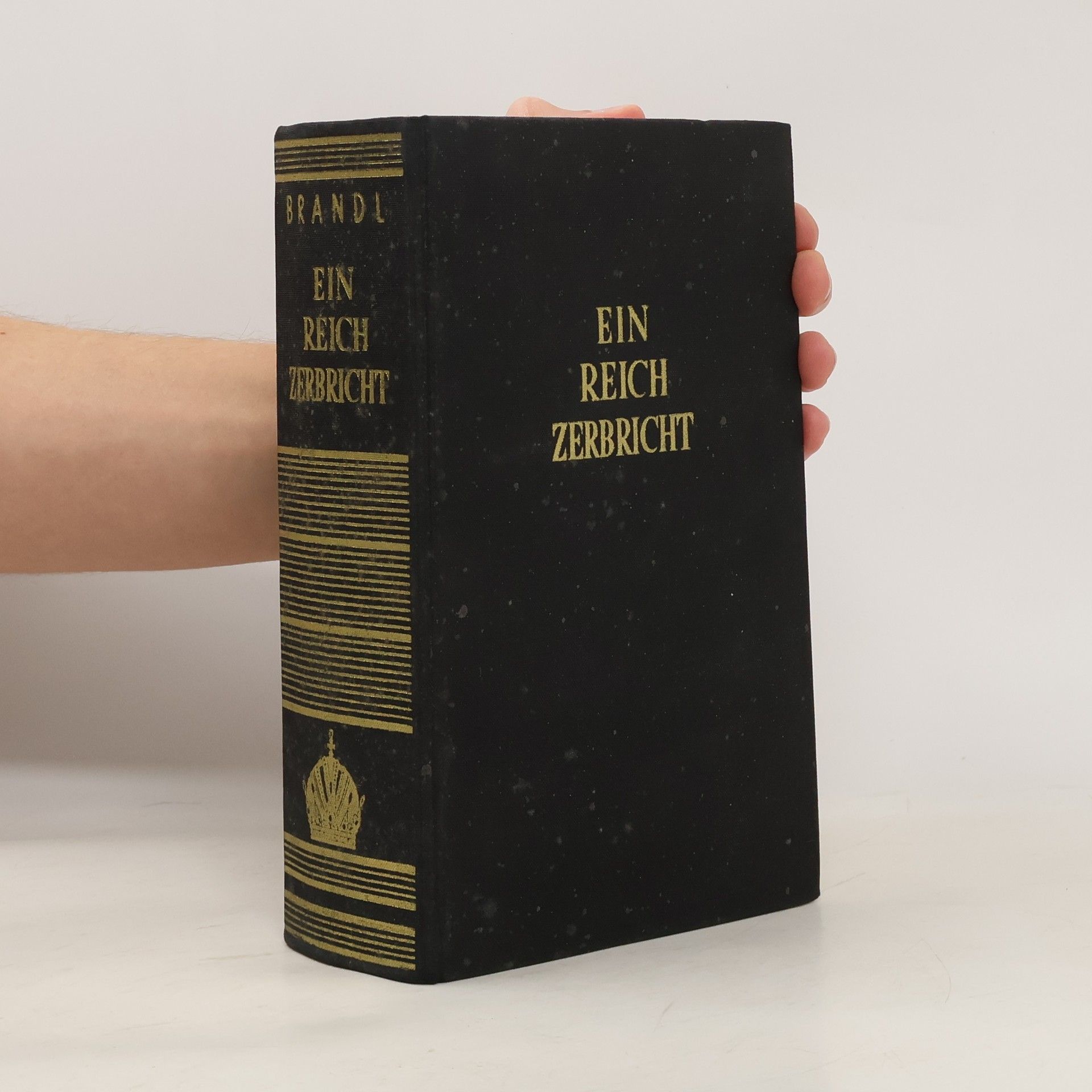 Franz Brandl Ein Reich Zerbricht