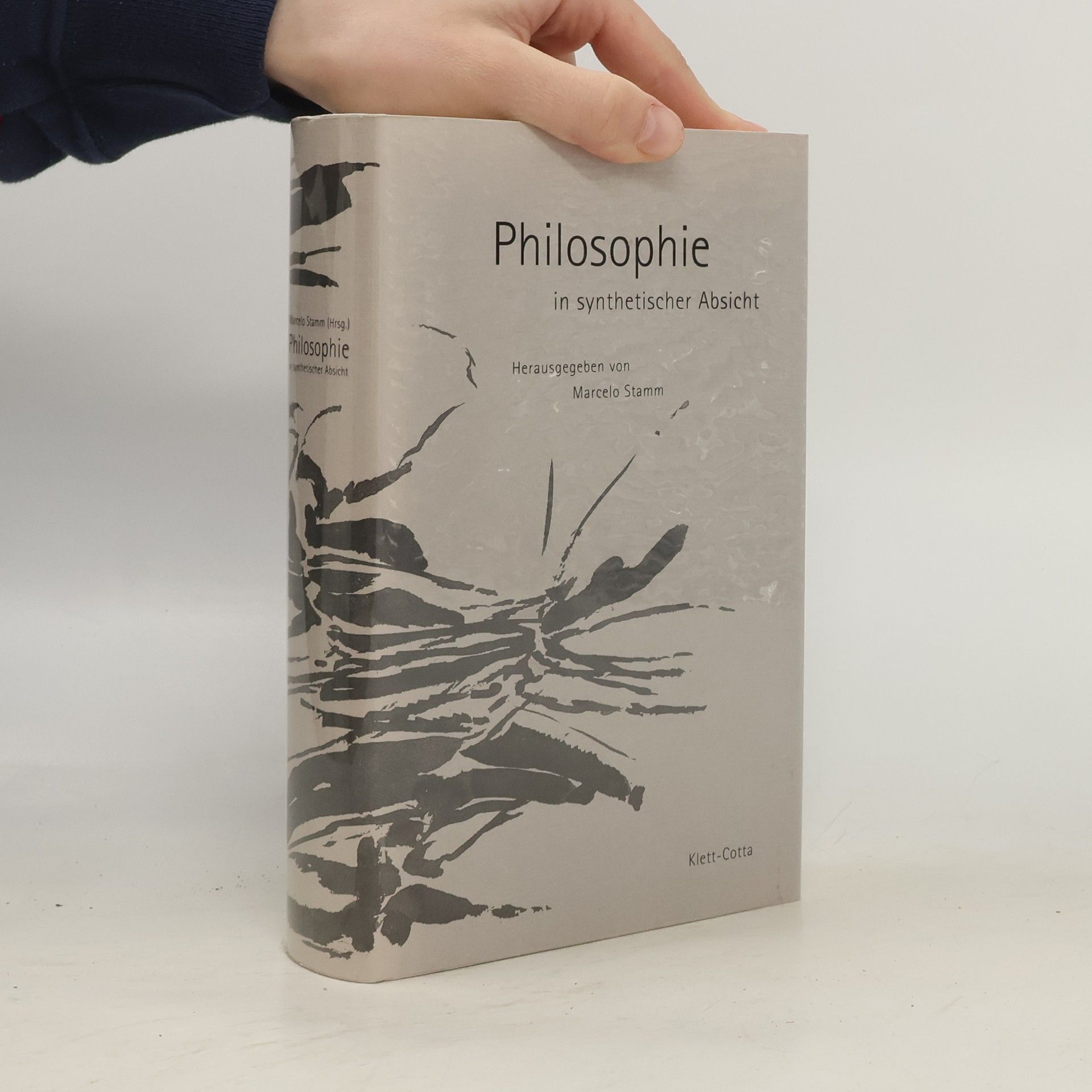 Marcelo Stamm Philosophie in synthetischer Absicht