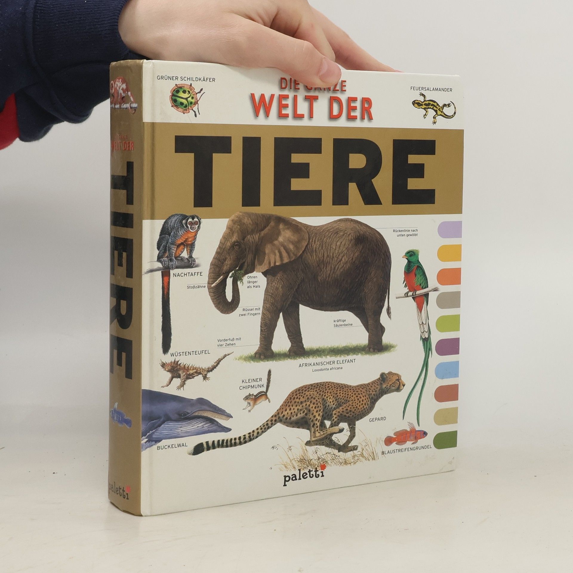 Gudrun Köhler Die ganze Welt der Tiere