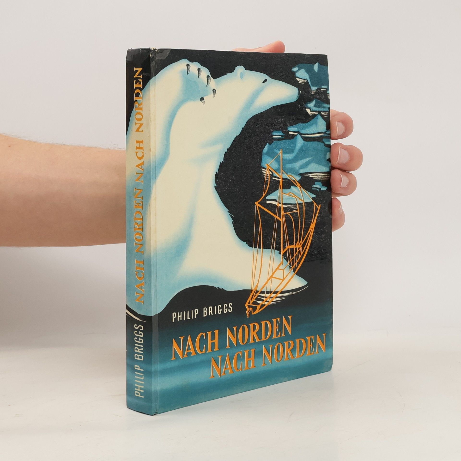 Philop Briggs Nach norden nach norden