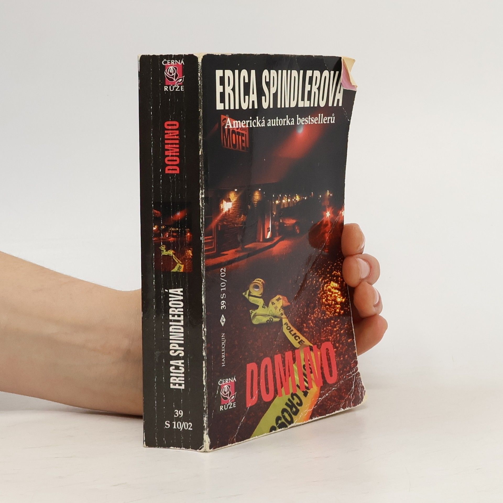 Erica Spindler Domino