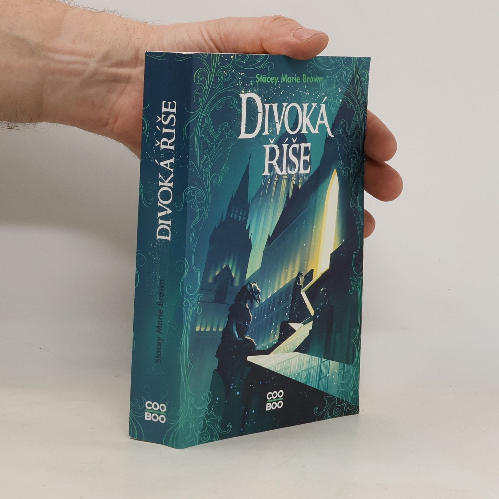 Stacey Marie Brown Divoká říše