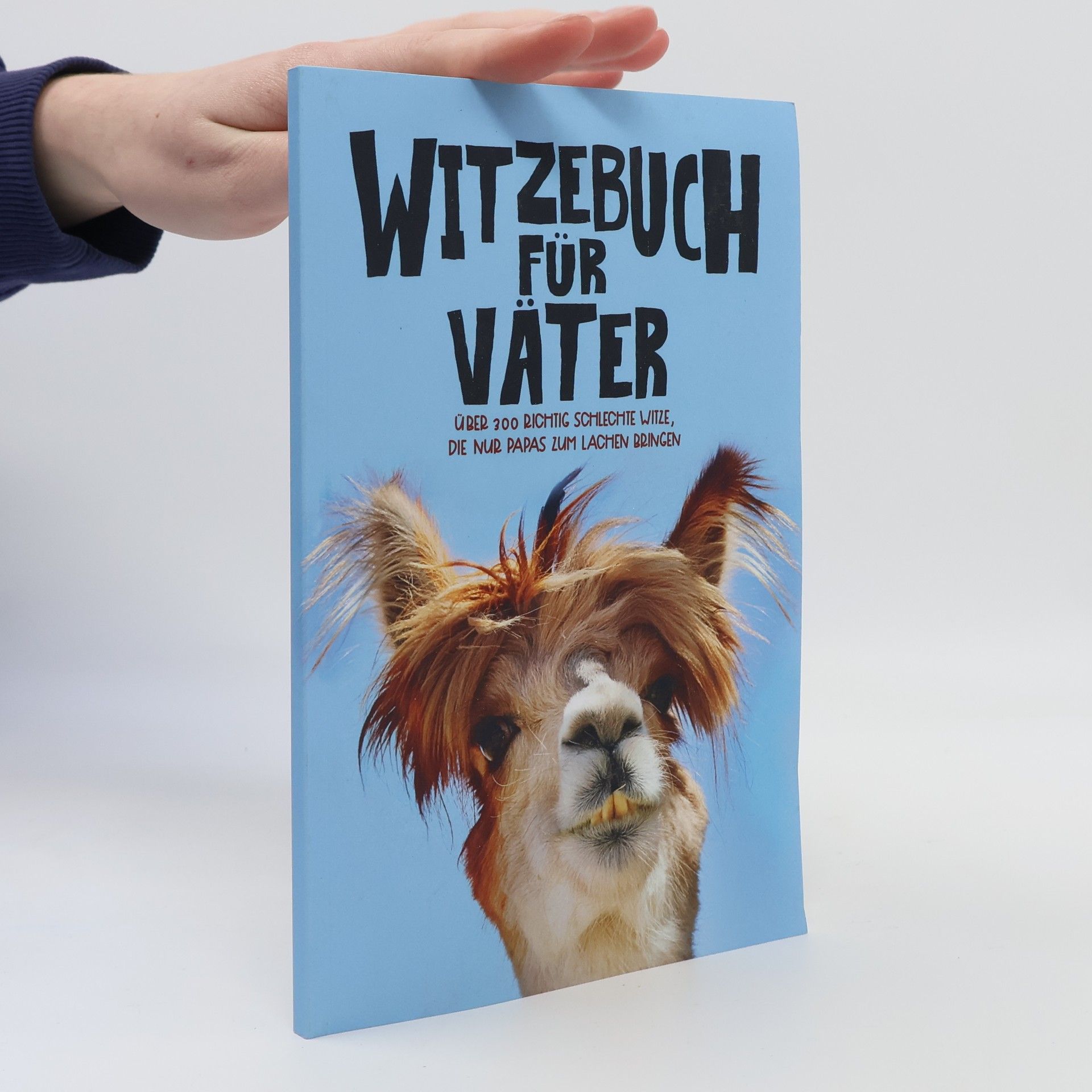 Silly Sloth Press Witzebuch für Väter