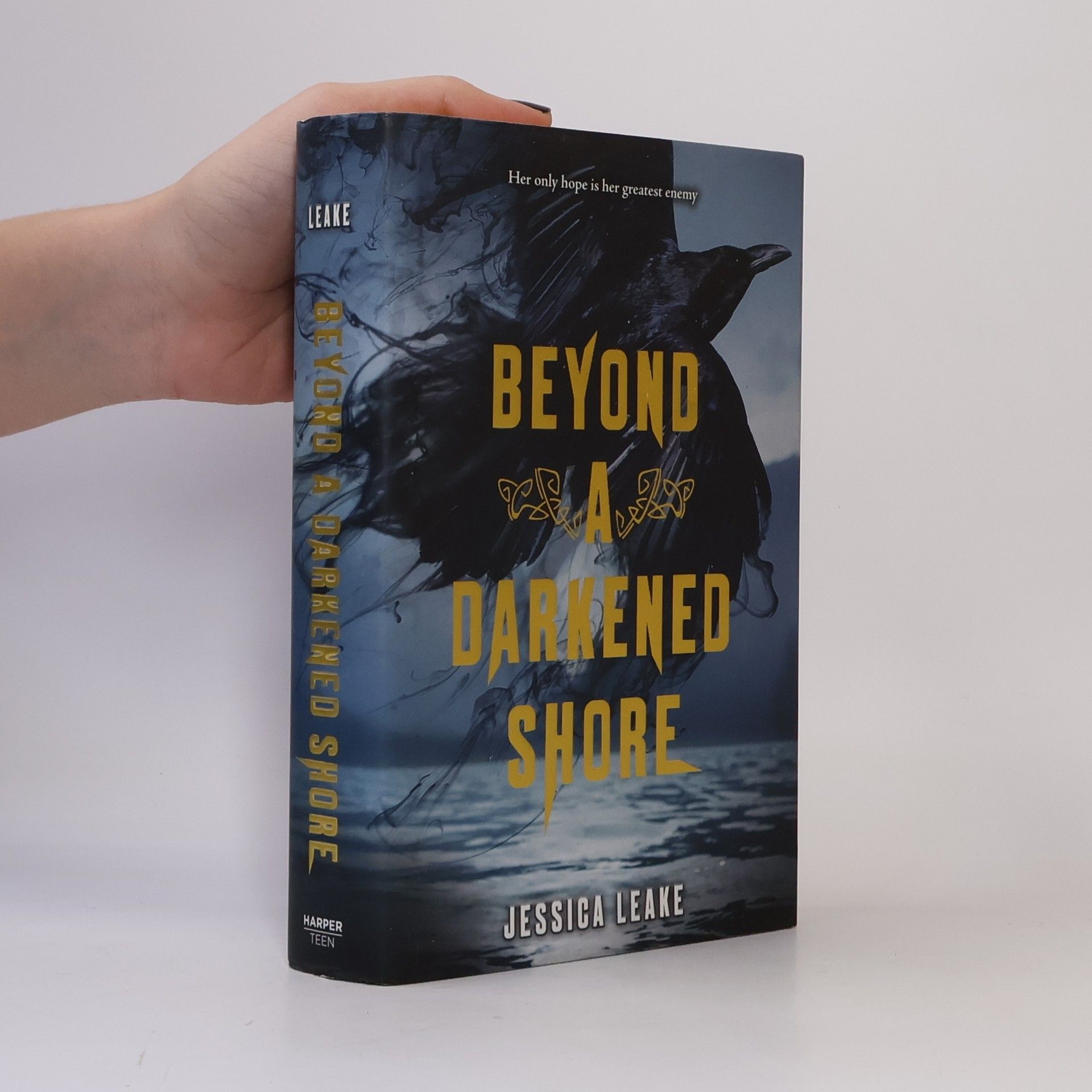 Jessica Leake Beyond A Darkened Shore