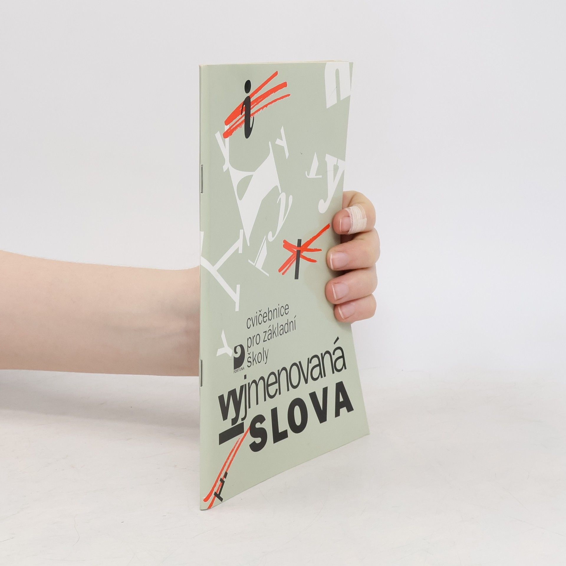 Jiřina Polanská Vyjmenovaná slova