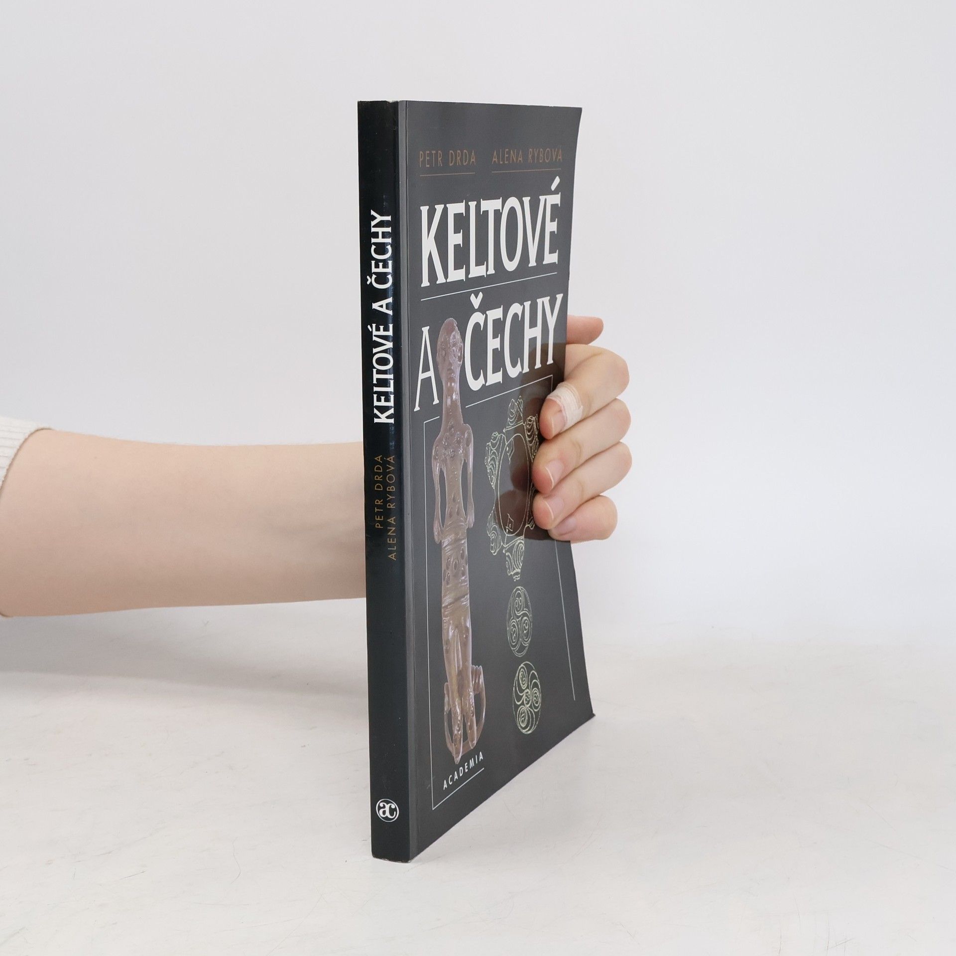 Petr Drda Keltové a Čechy