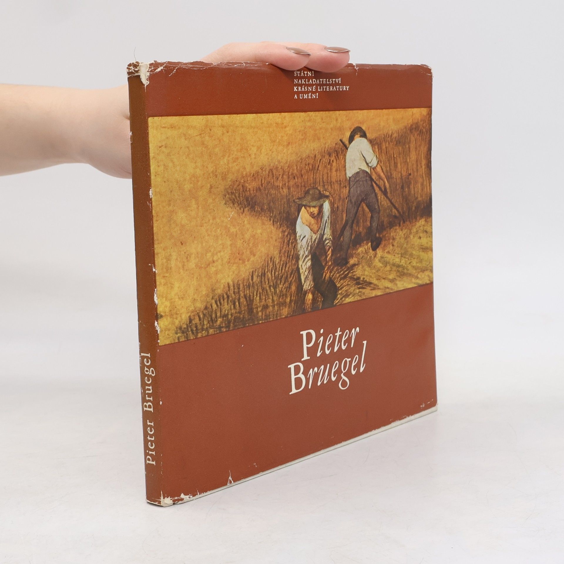 Jaromír Neumann Pieter Bruegel