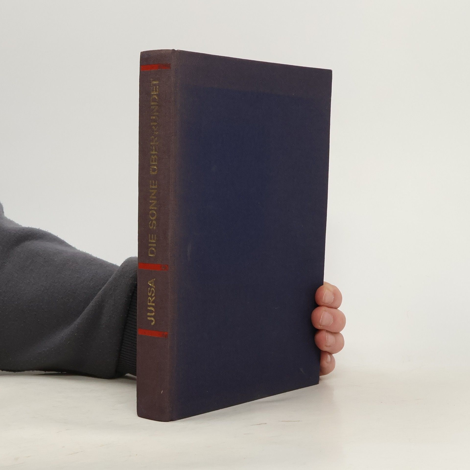 Wilhelm Jursa Die Sonne überwindet