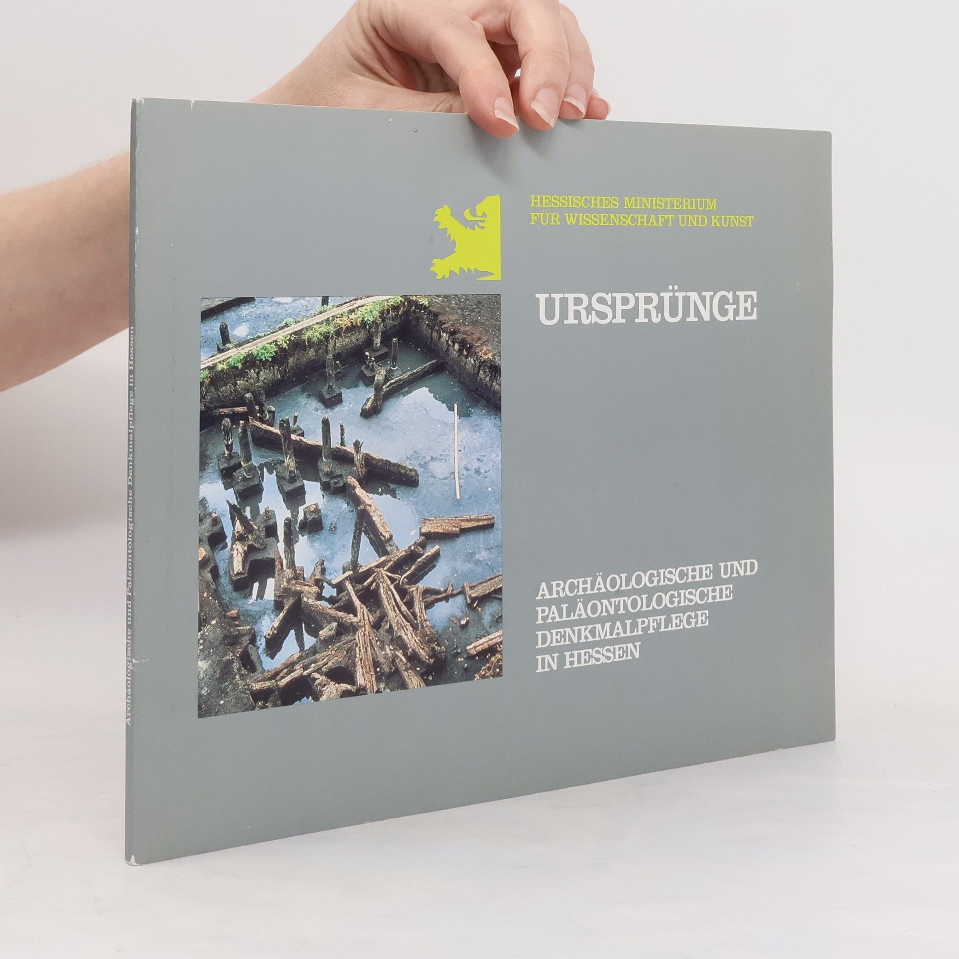 Kolektiv autorů Ursprünge